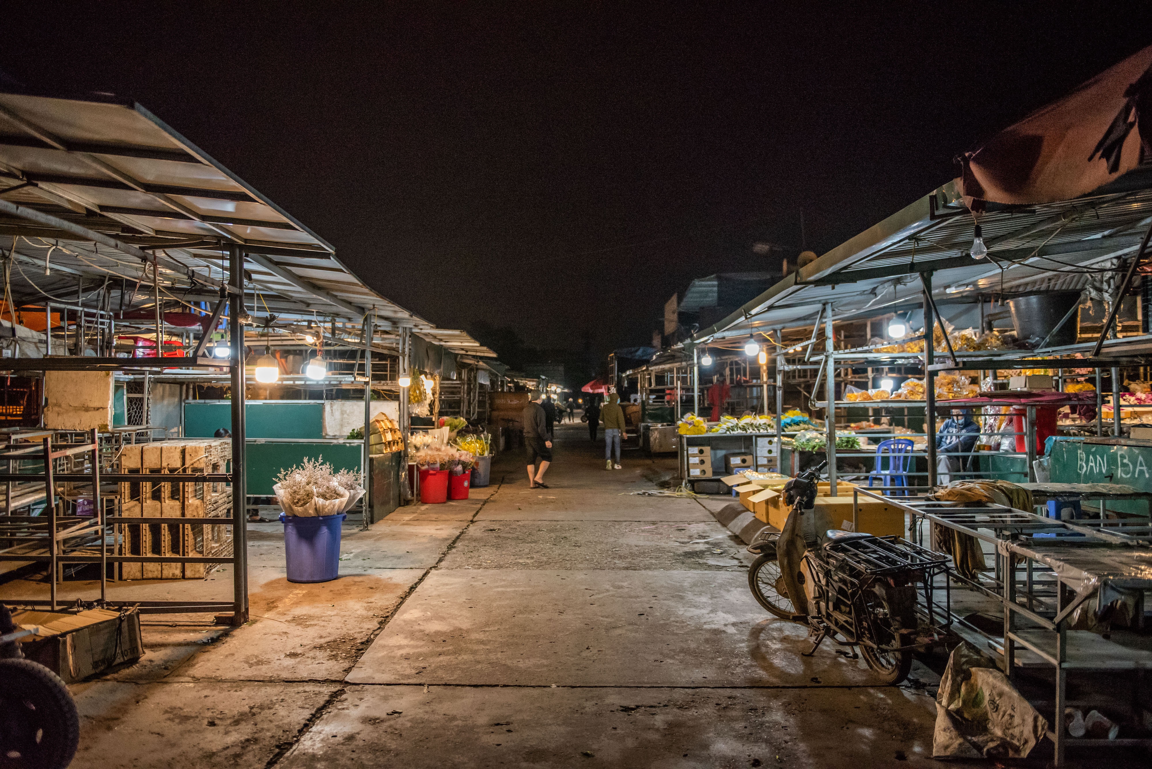 Cho hoa Quang An mo tro lai anh 1