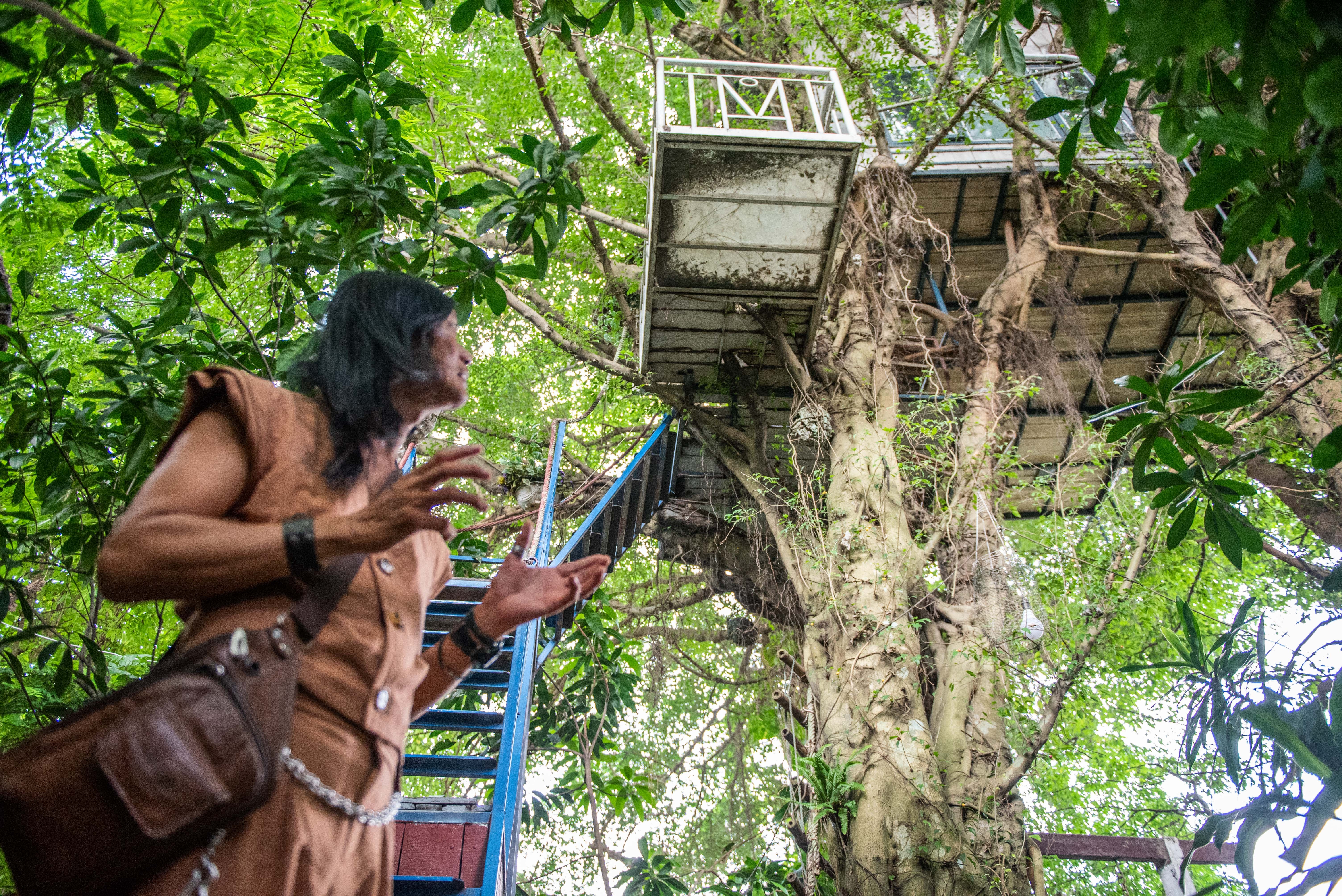 Nha cay giua Ha Noi anh 2