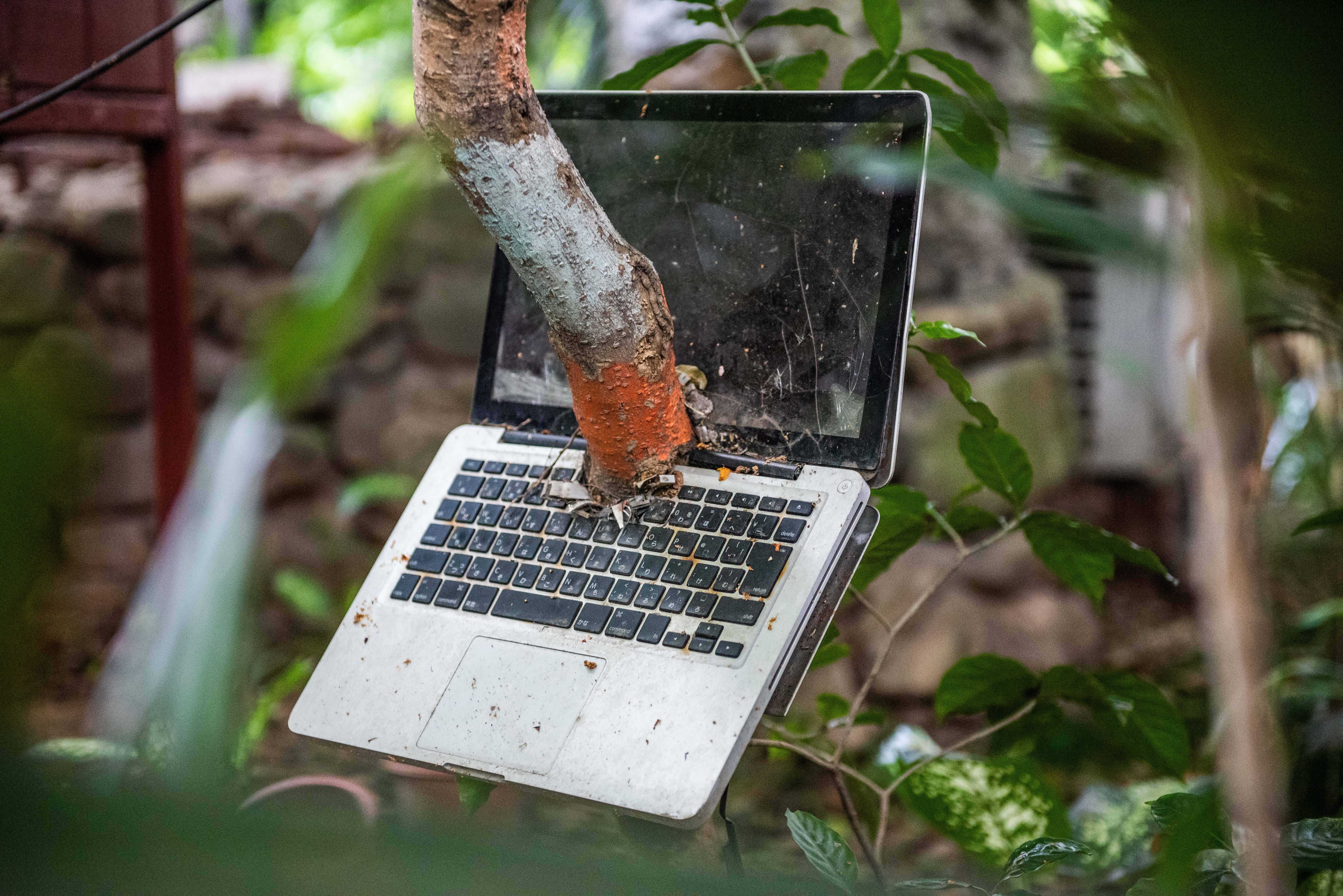 Nha cay giua Ha Noi anh 6