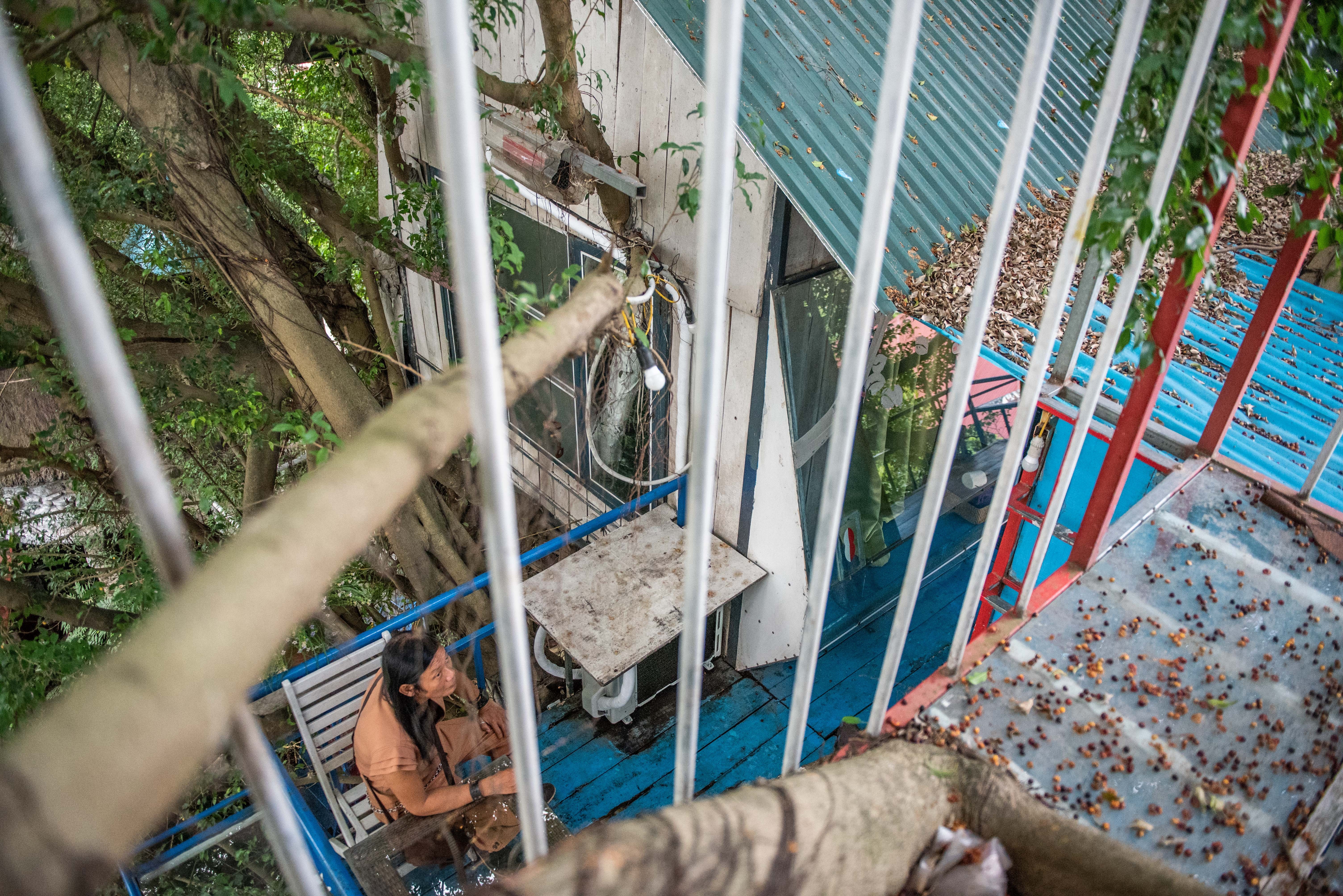 Nha cay giua Ha Noi anh 8