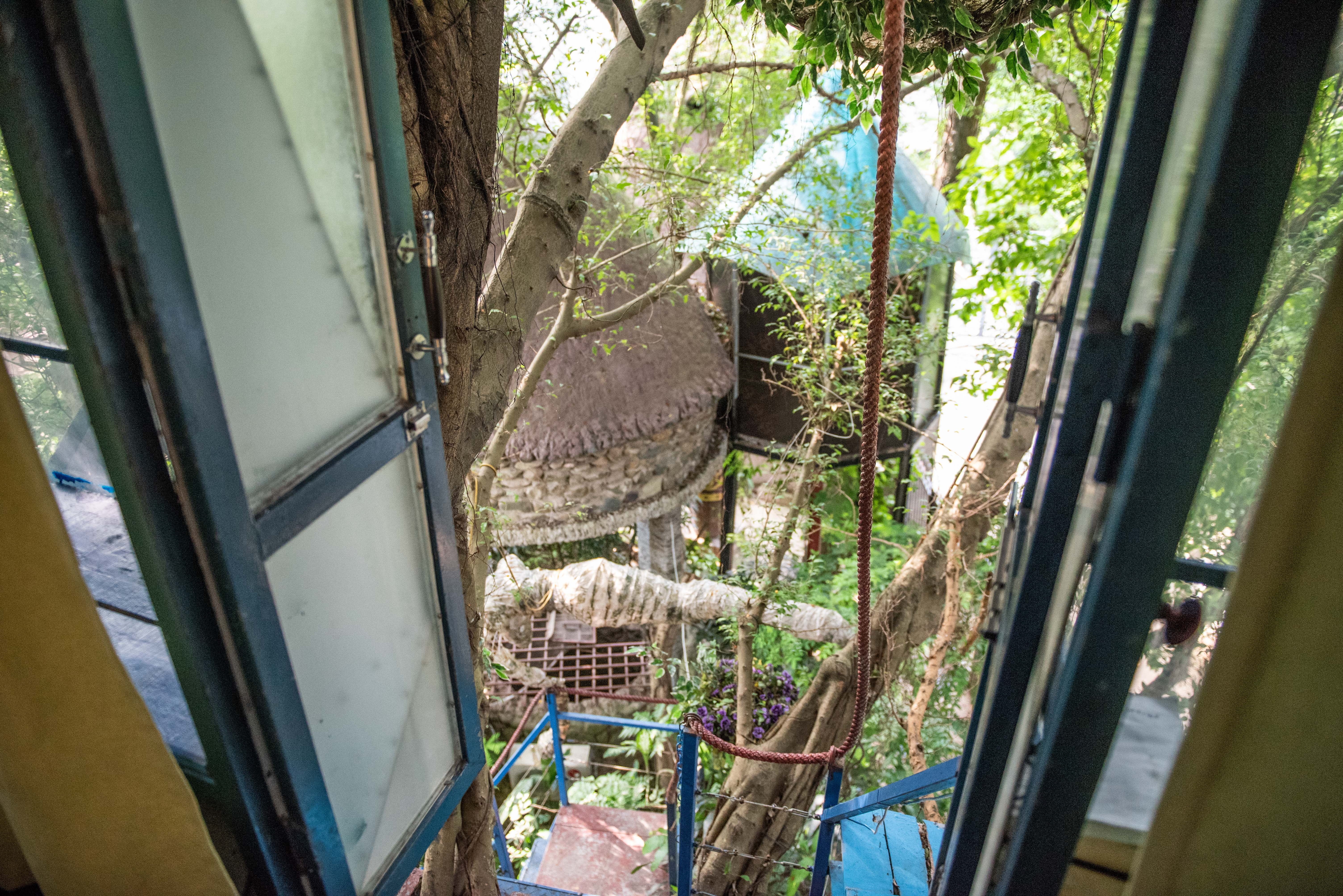 Nha cay giua Ha Noi anh 5