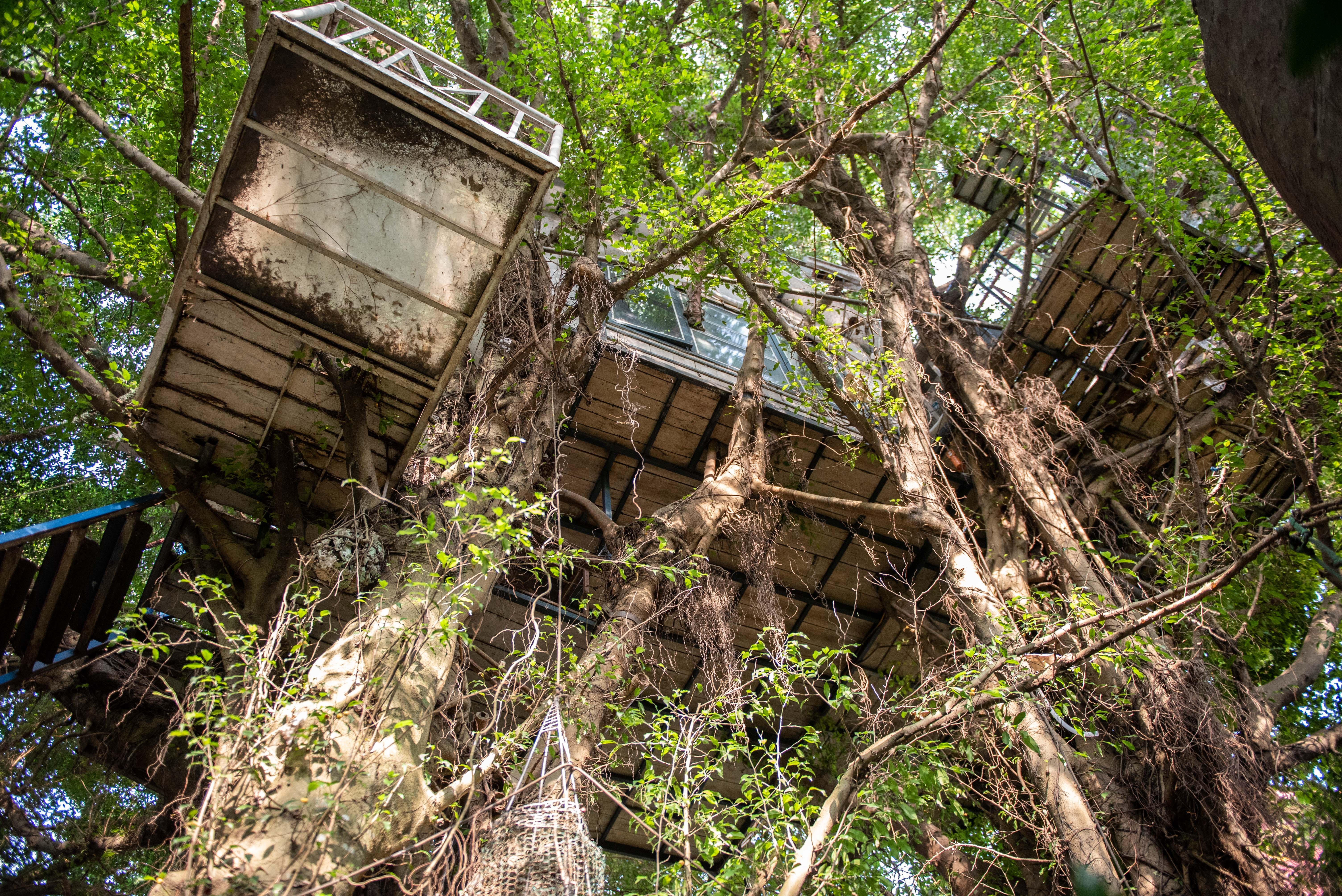 Nha cay giua Ha Noi anh 10