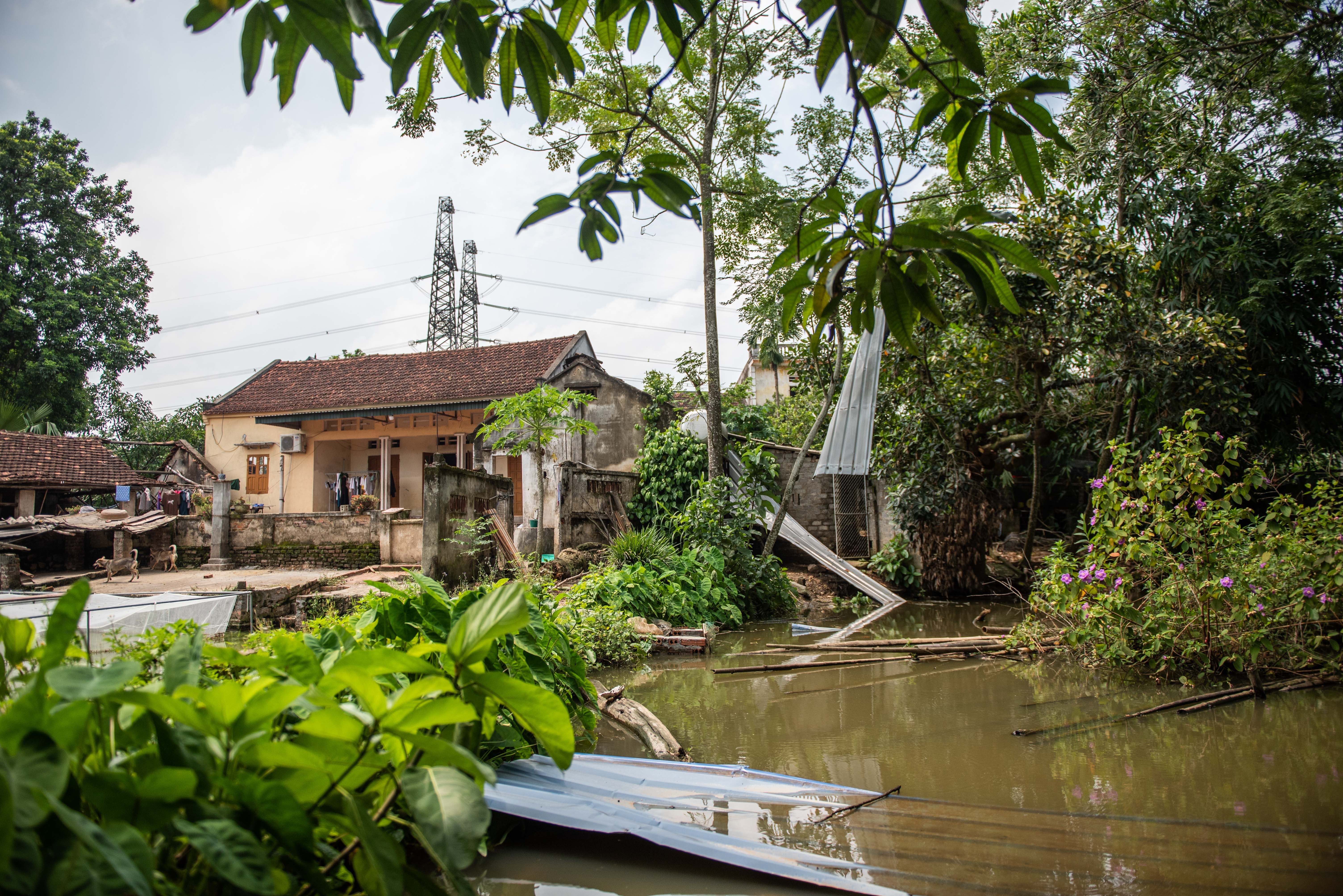 Xuong go sap khien 3 nguoi chet anh 6