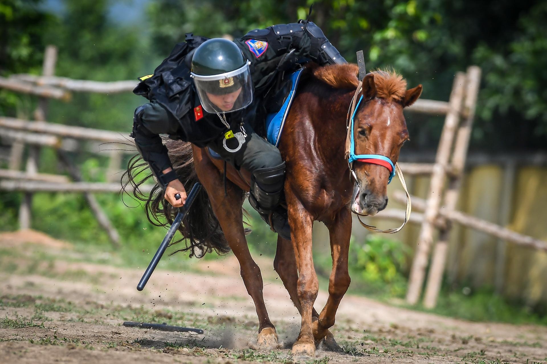 Ngua 'bat kham' dap chien si CSCD ky binh hinh anh