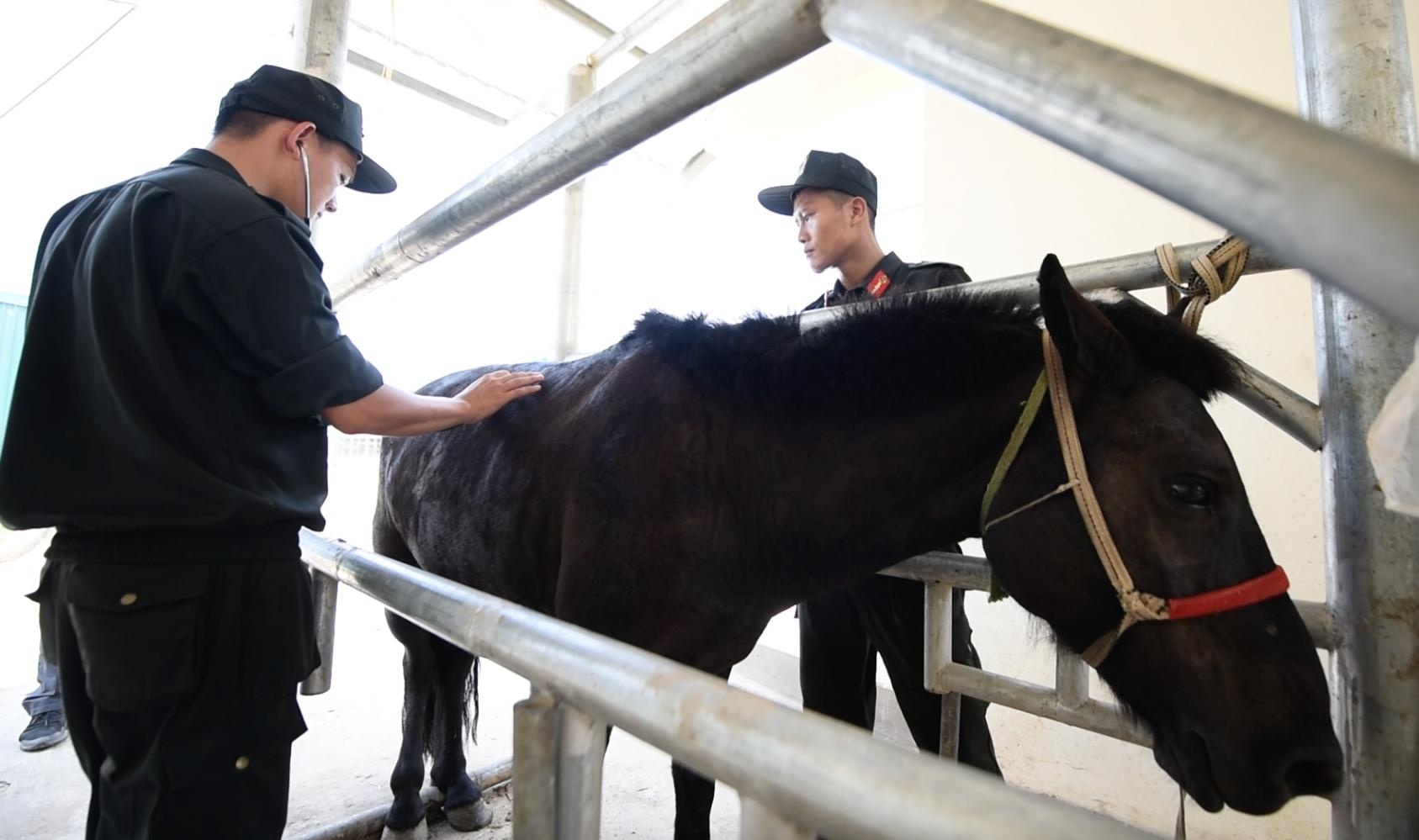 Cau chuyen ve Doan CSCD Ky binh anh 4