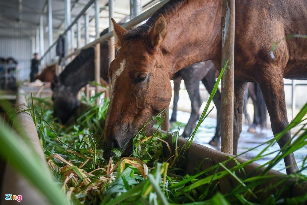 Cau chuyen ve Doan CSCD Ky binh anh 3