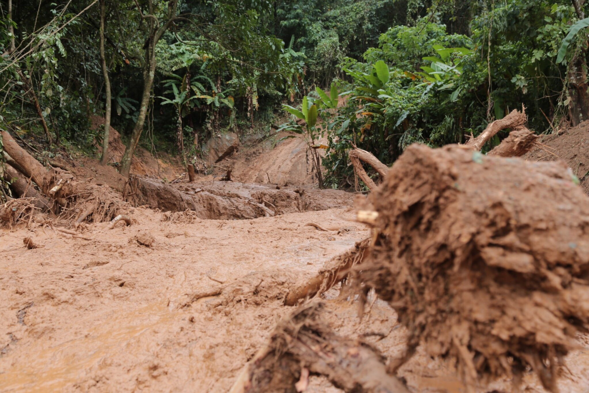 Sat lo nui o quang tri anh 13