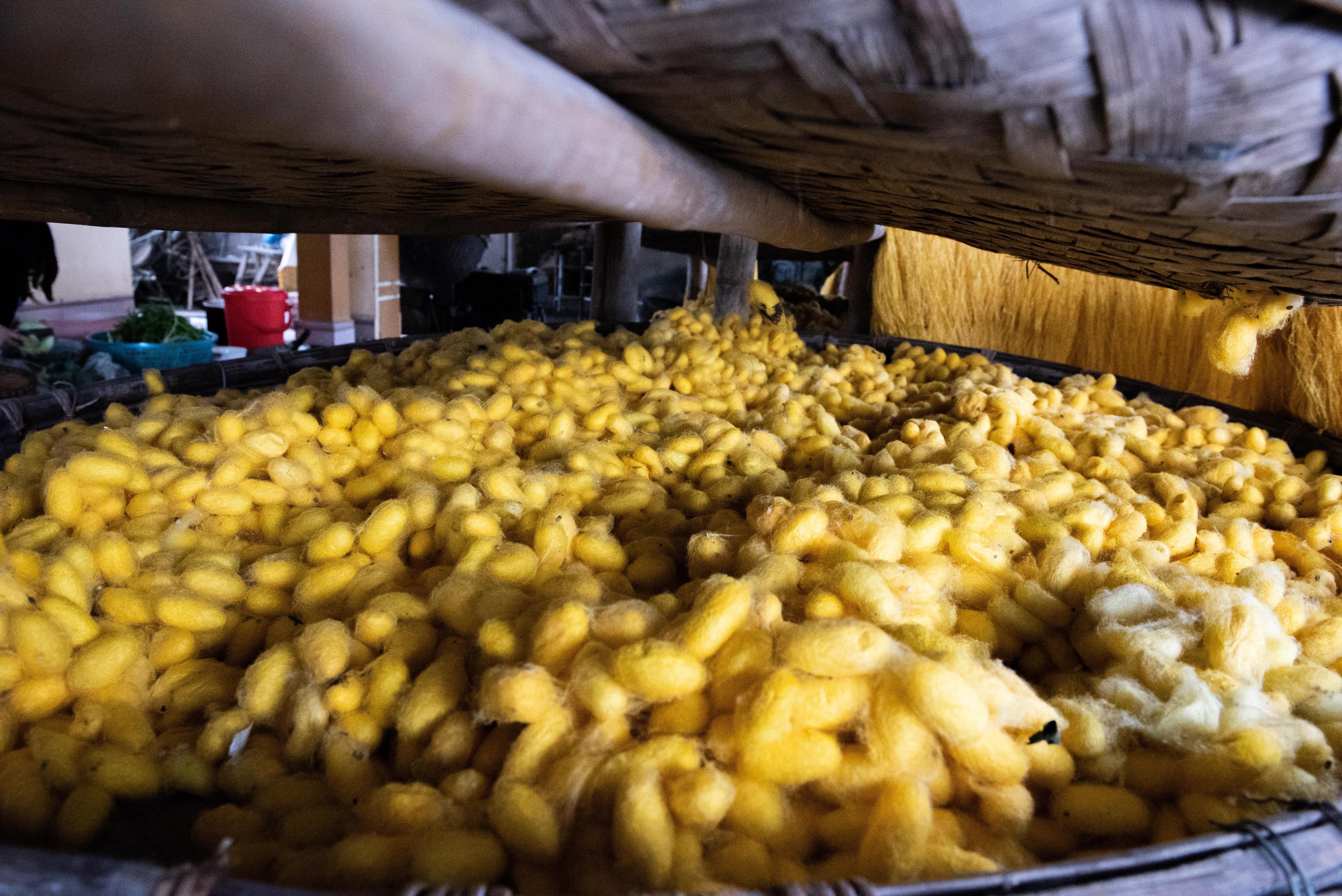 Nghe truyen thong uom to anh 9