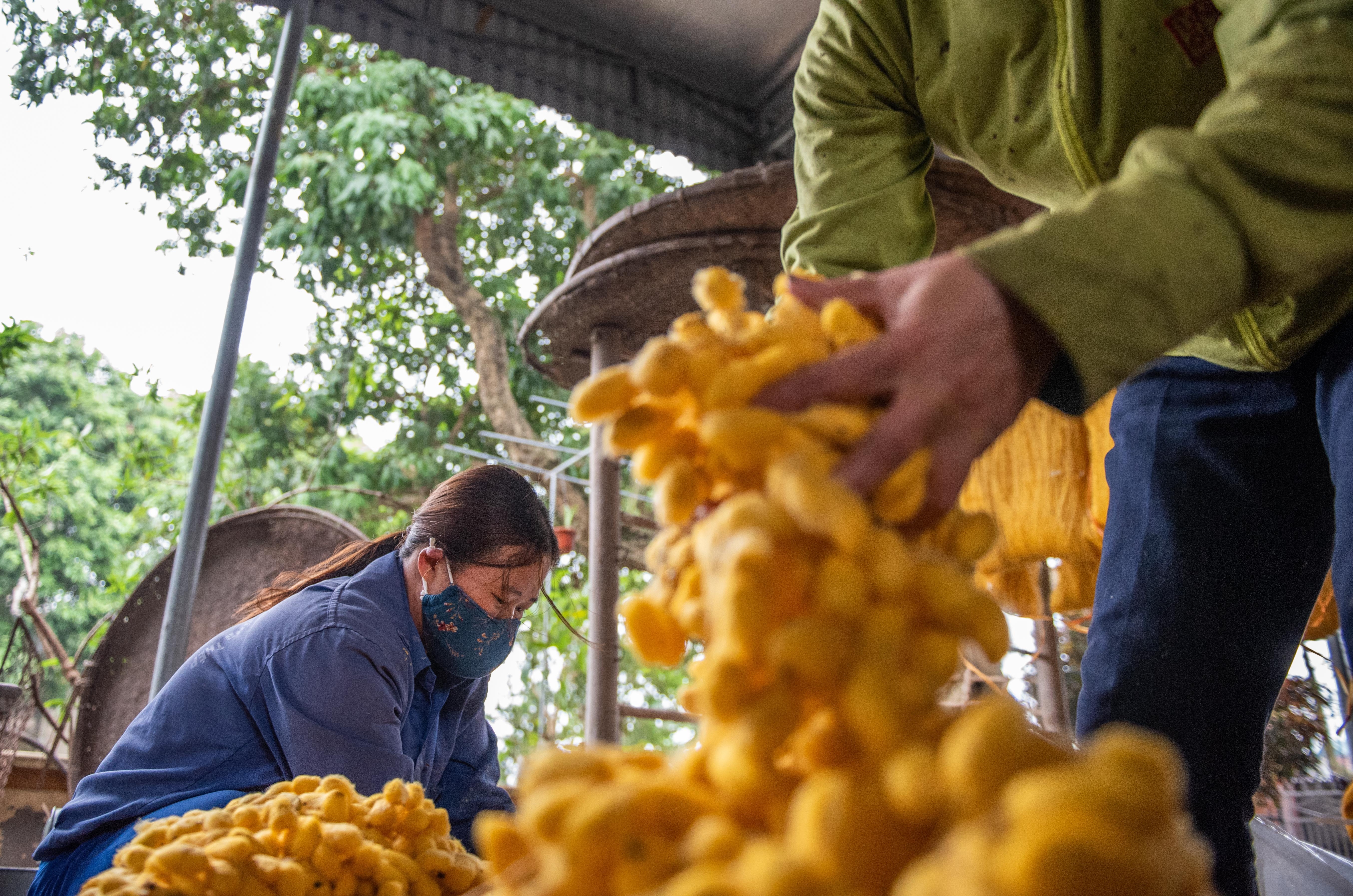 Nghe truyen thong uom to anh 4