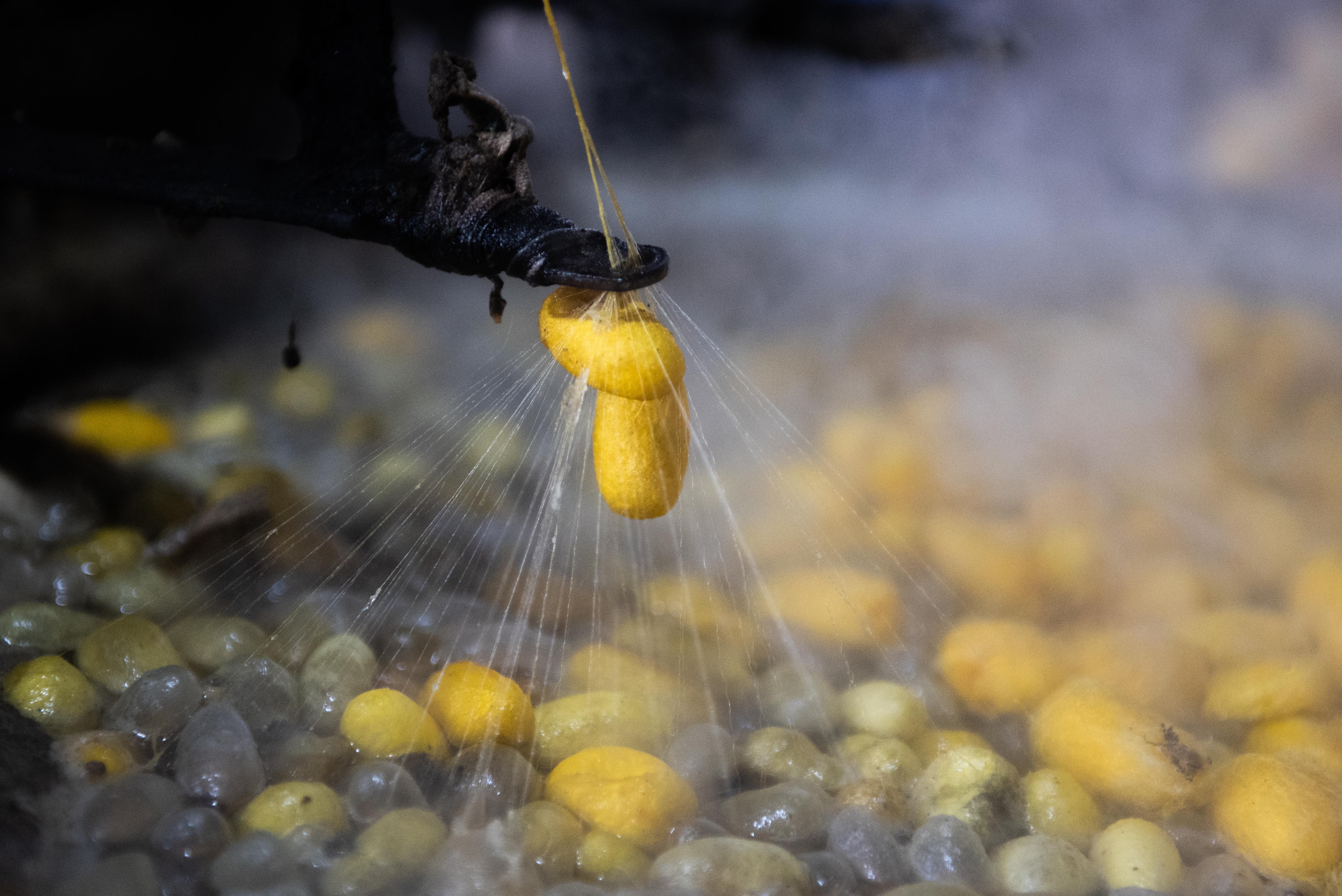 Nghe truyen thong uom to anh 7