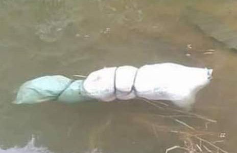 Thi the phu nu trong bao tai, noi tren mat ho hinh anh