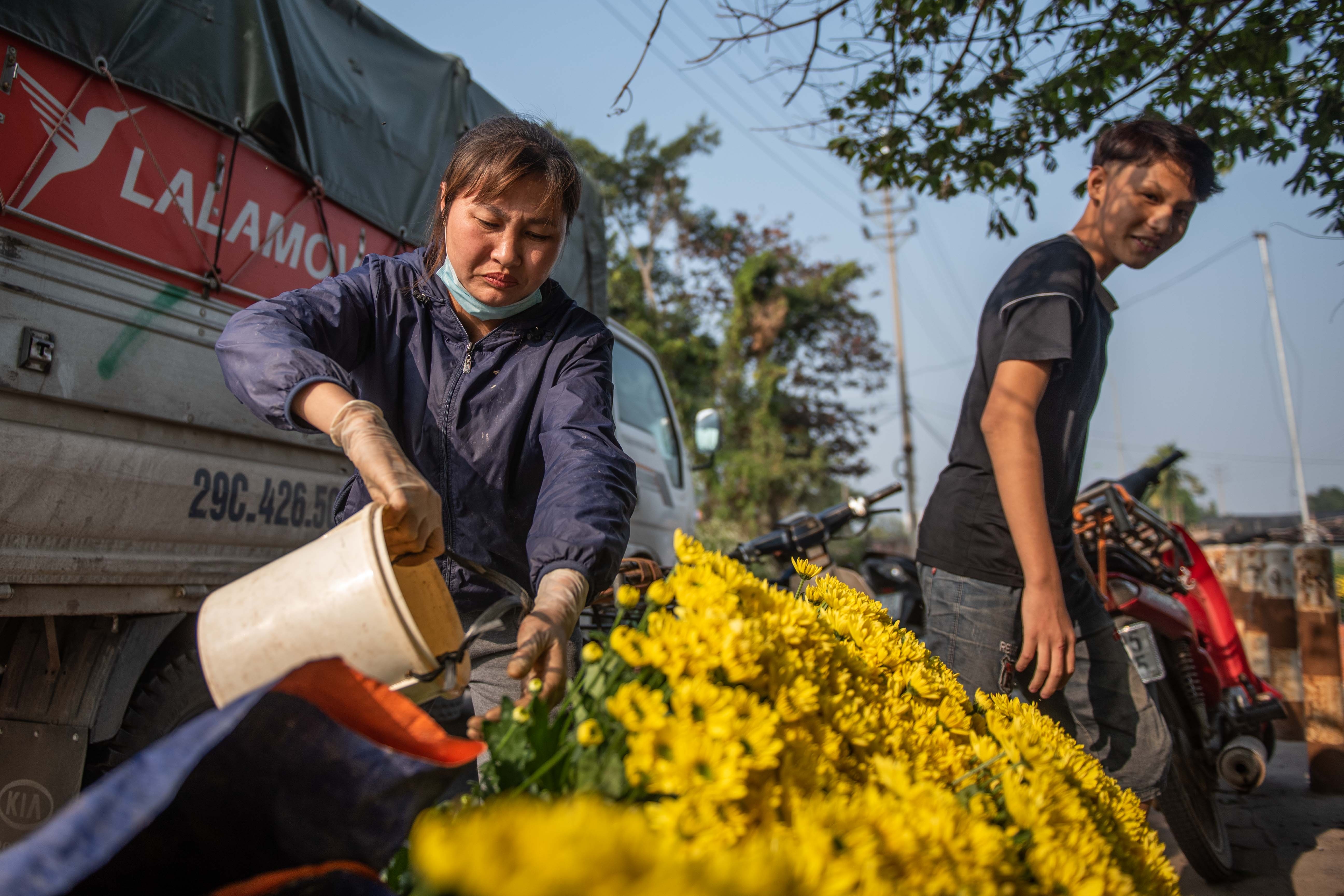 Dan thu hoach hoa cuc ban dip ram thang chap anh 8