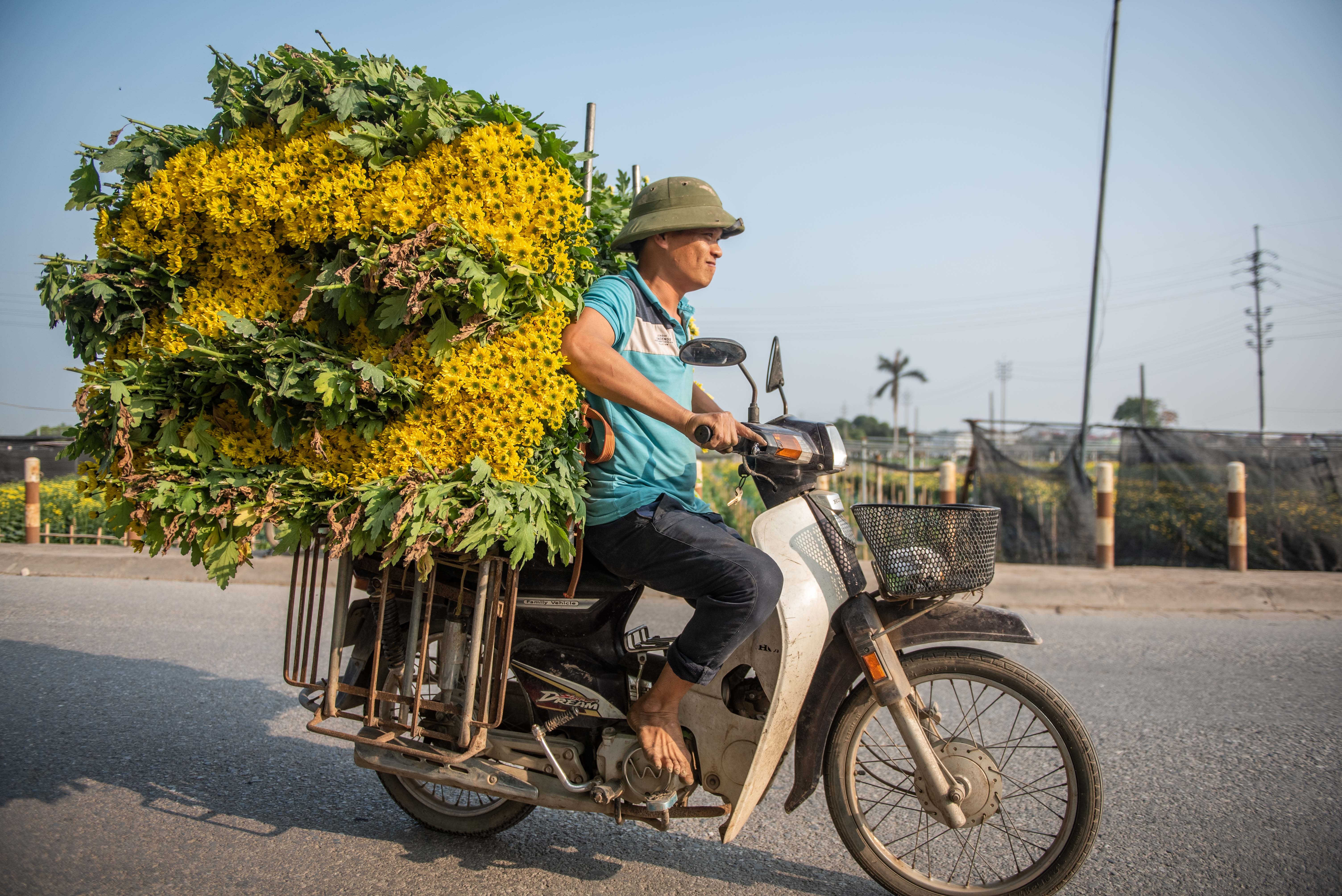 Dan thu hoach hoa cuc ban dip ram thang chap anh 11