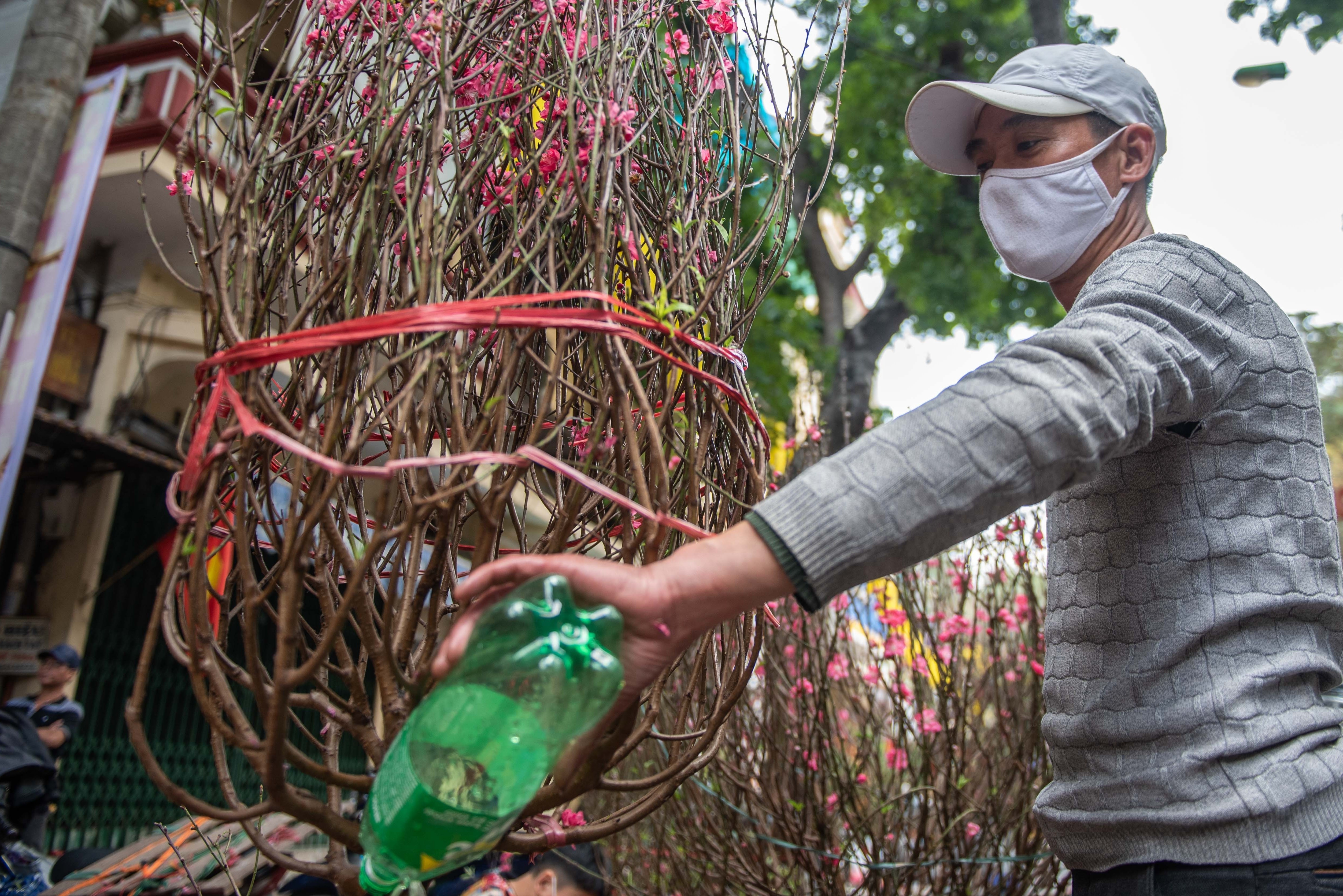 Dan buon ban canh dao 20.000 dong chieu 30 Tet hinh anh