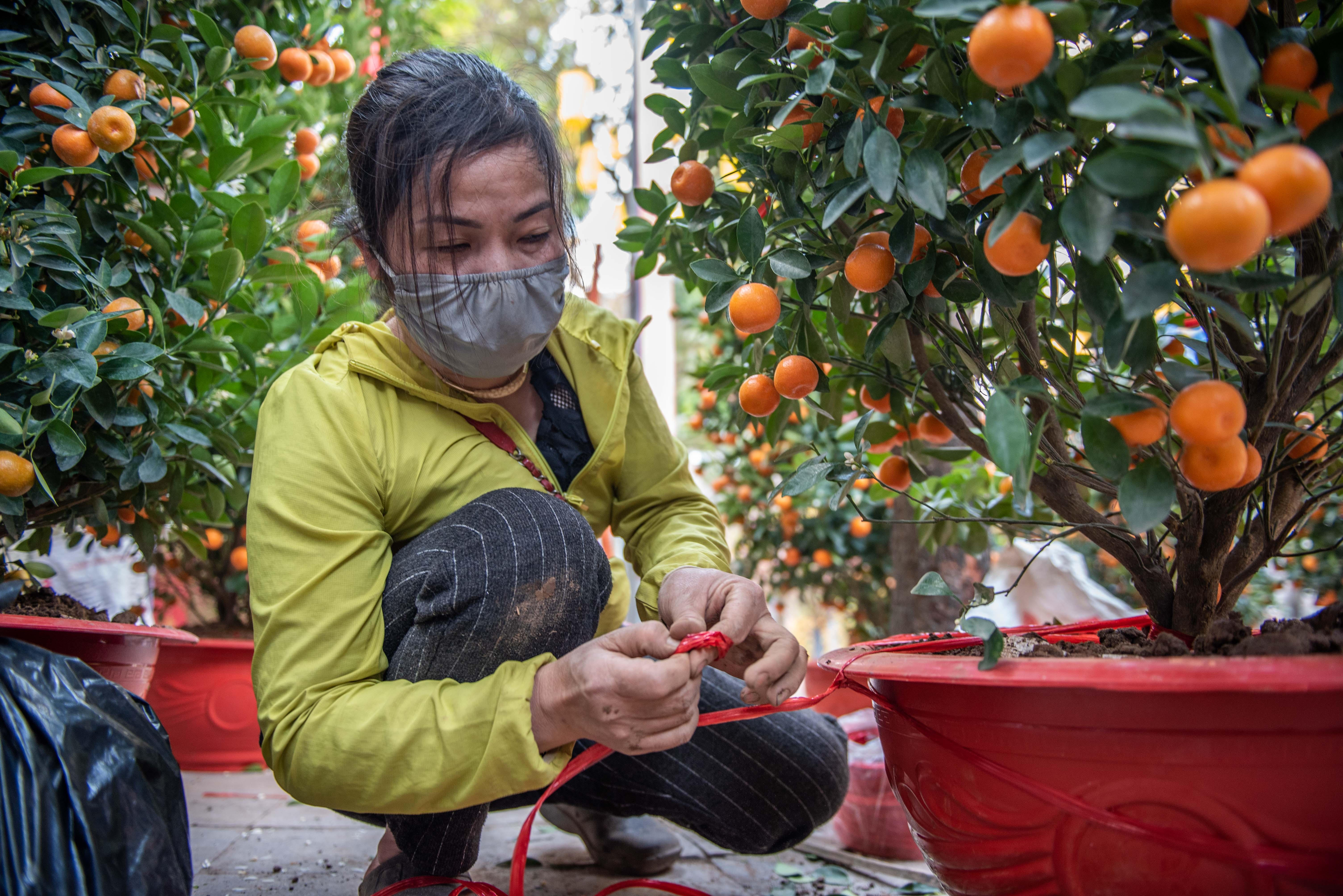 Cho hoa hang luoc chieu 30 tet anh 5