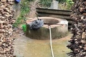 Con dau dot nha, do thuoc diet co xuong gieng hinh anh