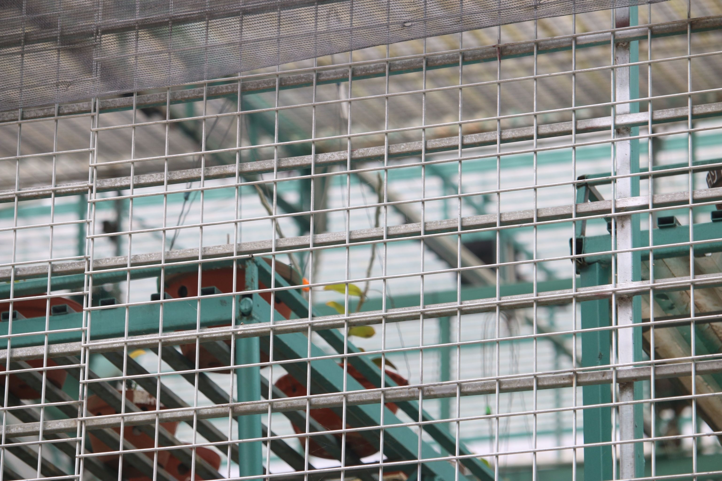 Bo tron cung 200 ty tien hoa lan anh 2