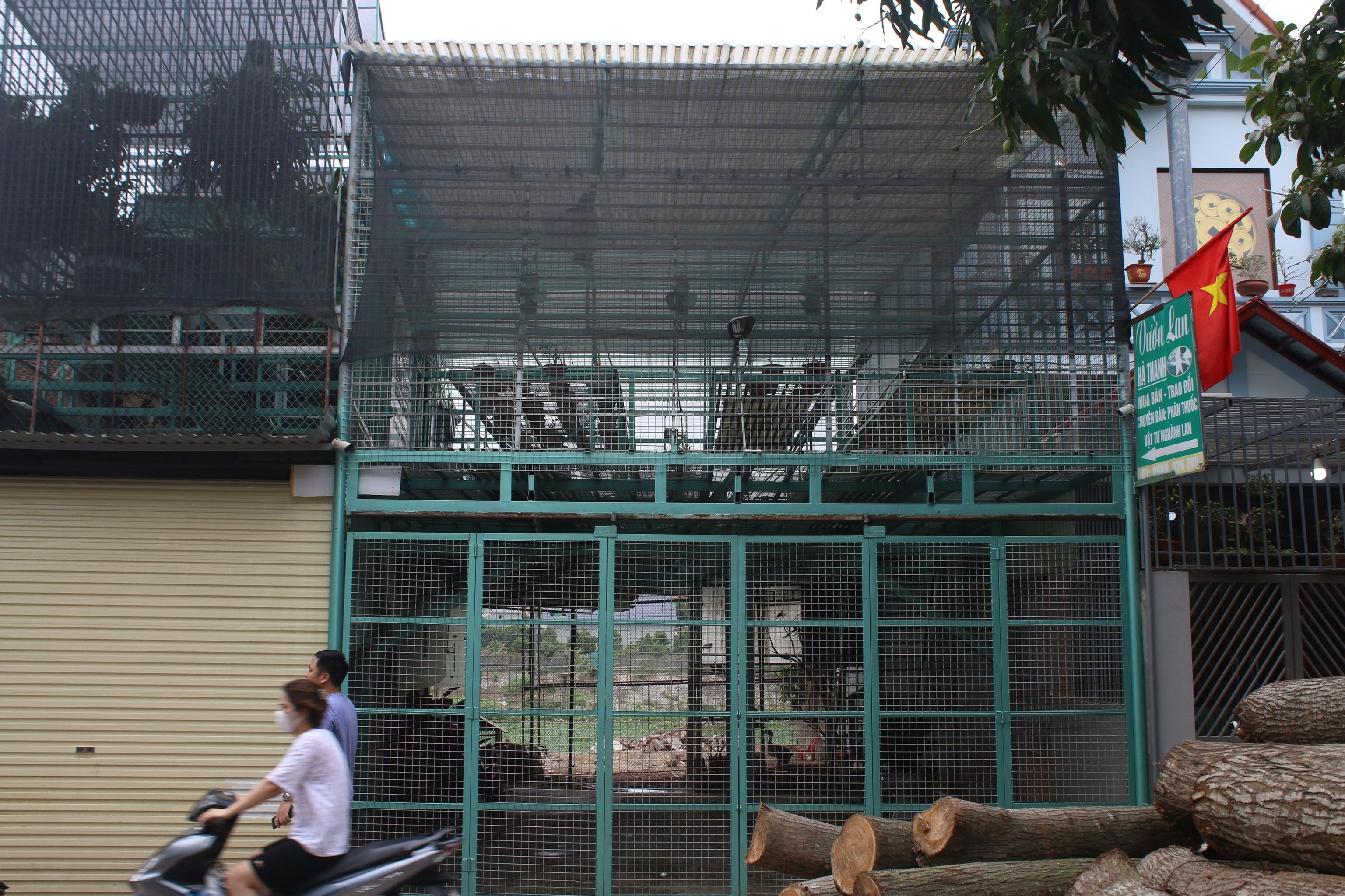 Bo tron cung 200 ty tien hoa lan anh 1