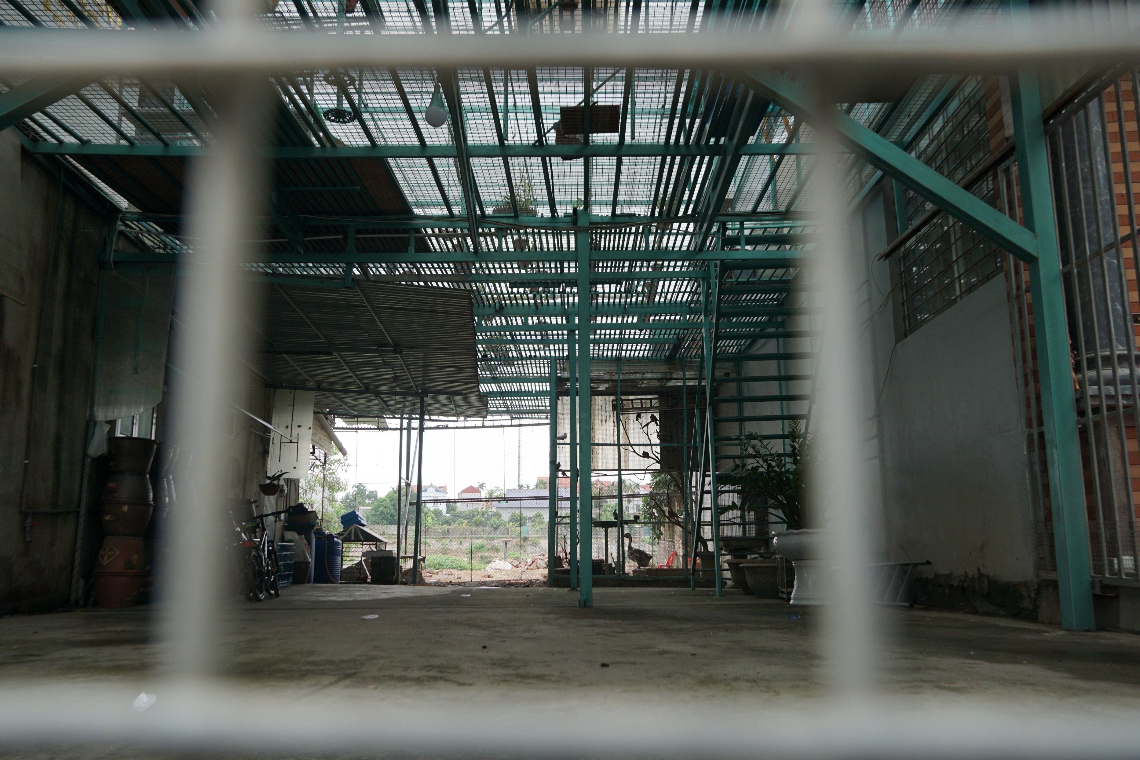 chu vuon lan bi to om 200 ty anh 1