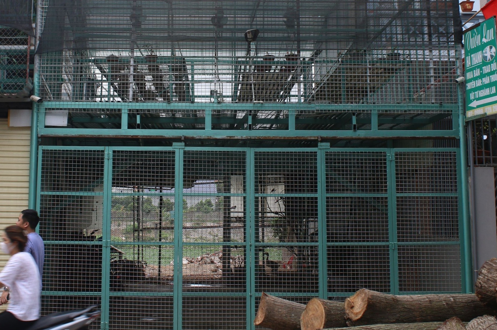 Chu vuon lan bi to bo tron da trinh dien cong an hinh anh