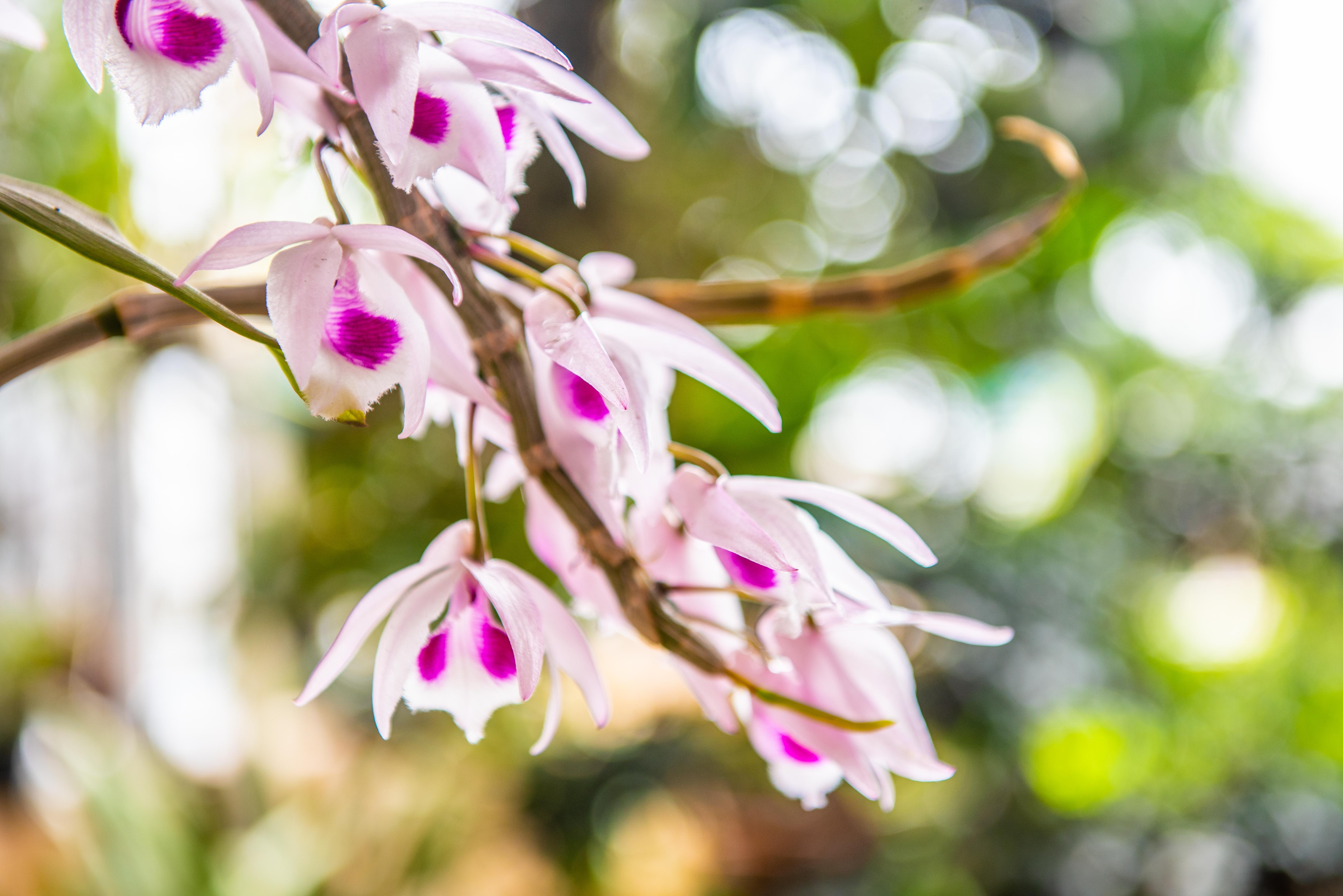 Tai sao lan dot bien dat anh 2