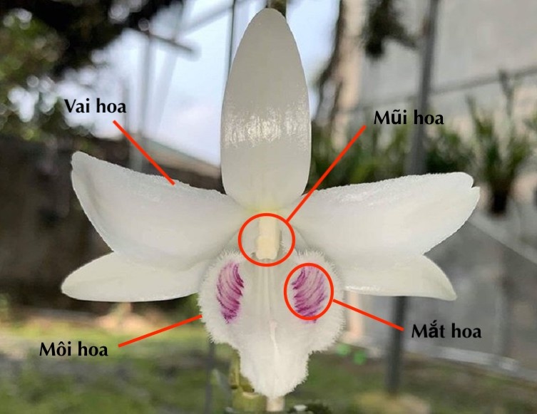 Tai sao lan dot bien dat anh 3