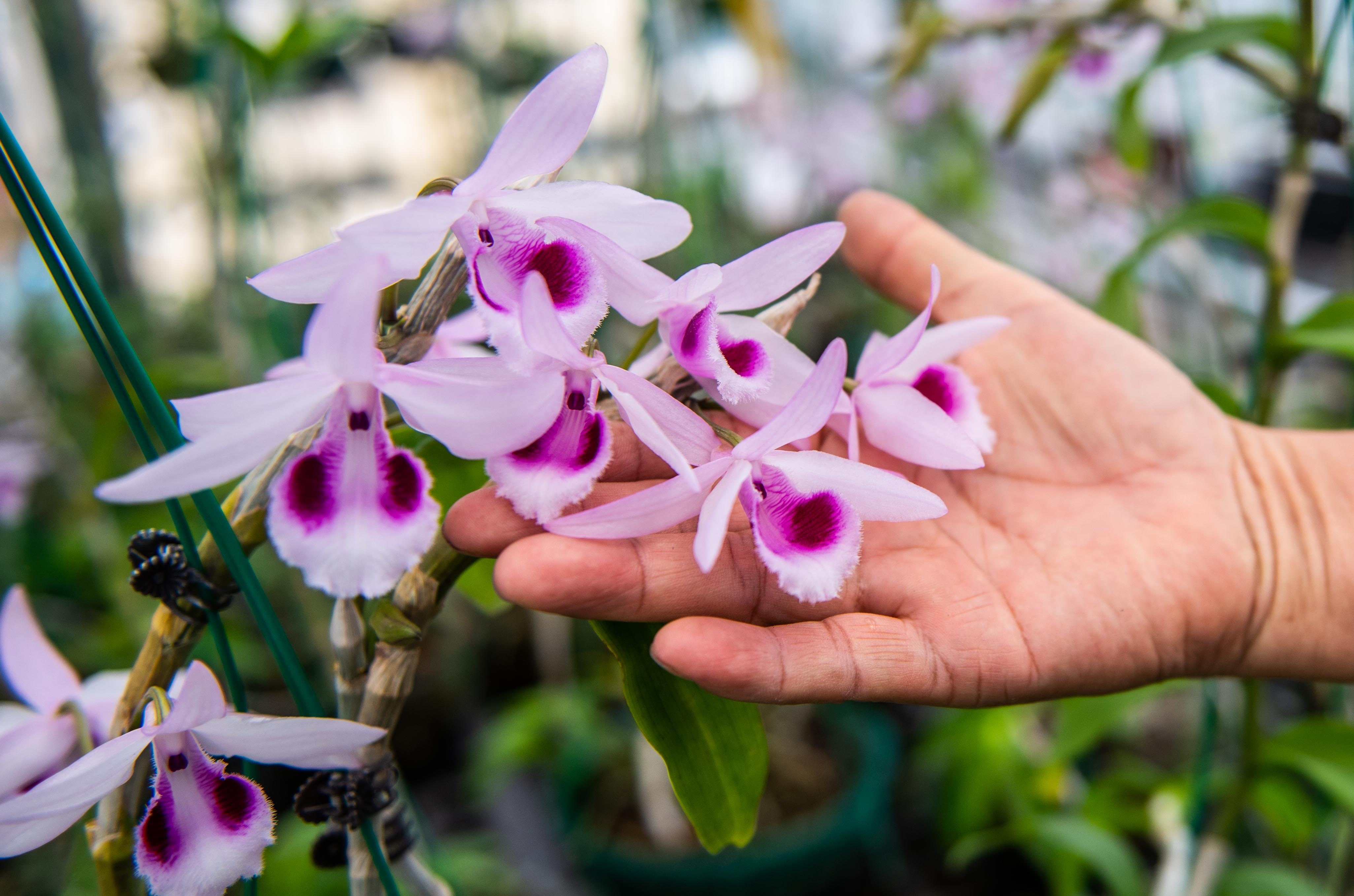 Tai sao lan dot bien dat anh 1