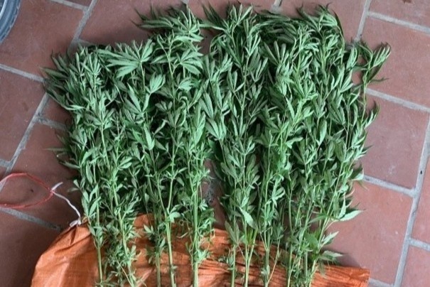 Nam thanh nien 18 tuoi trong can sa de ngam ruou hinh anh