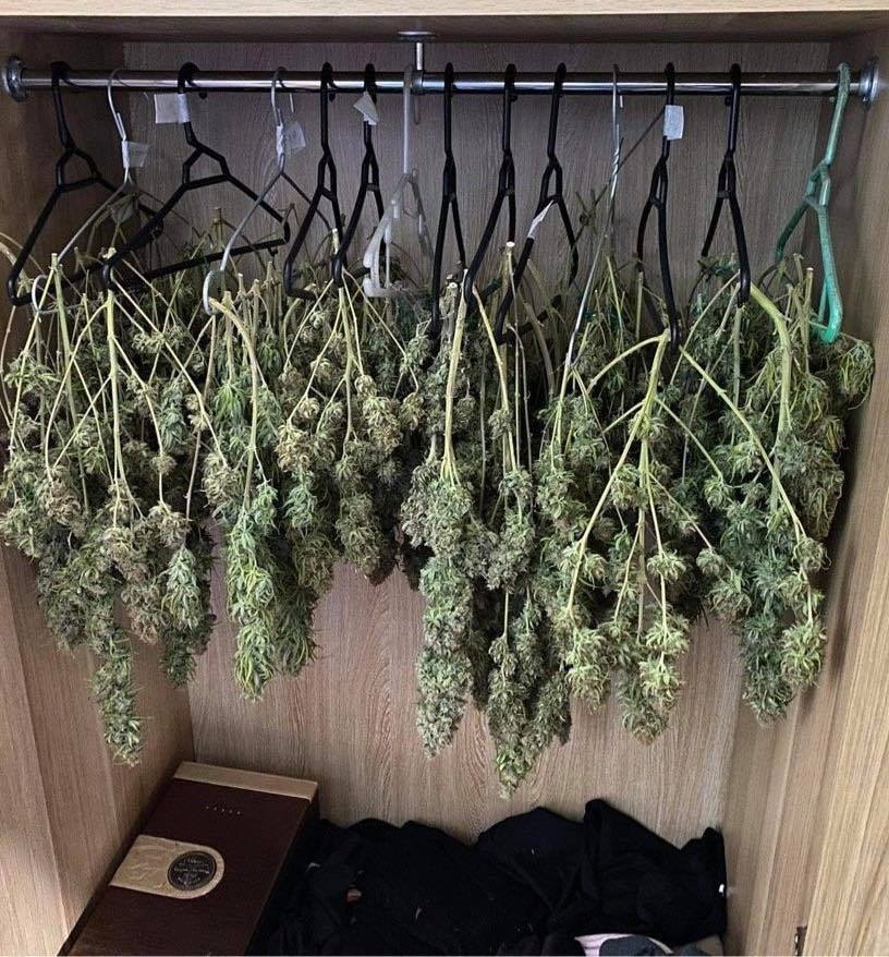 trong can sa tai nha anh 1