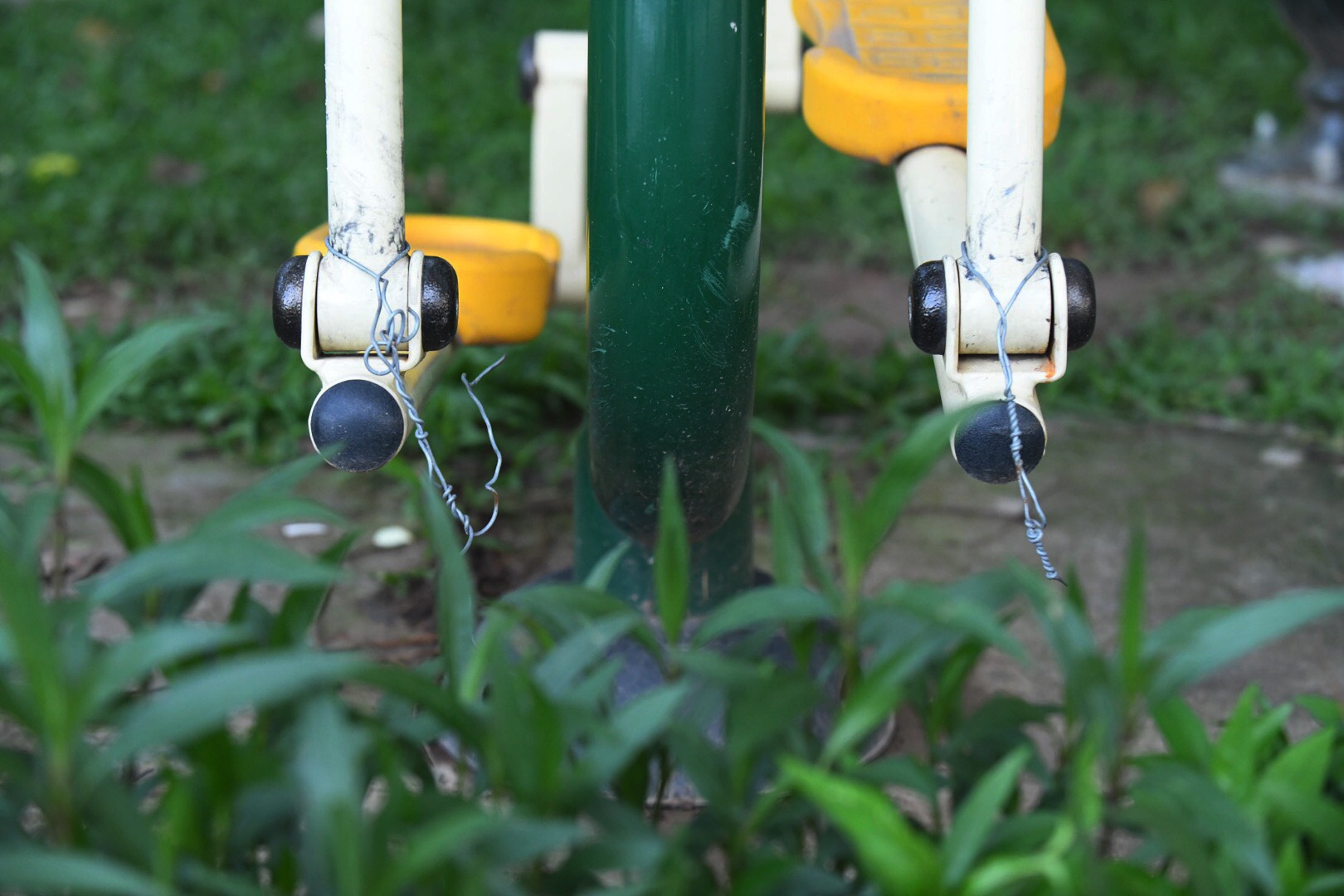 Ho guom cam the duc sau 18h anh 7