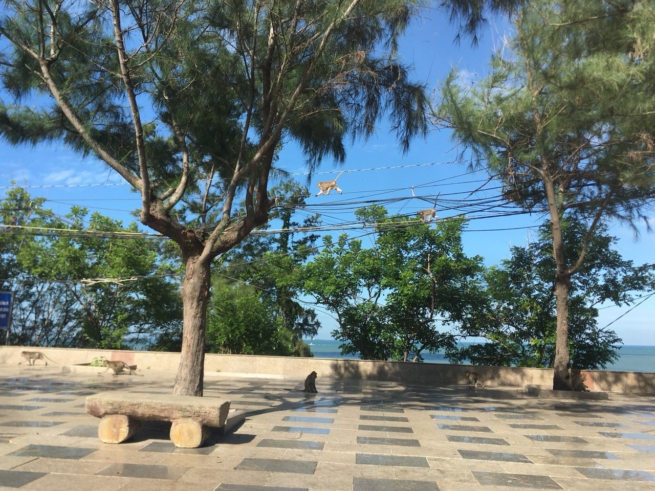 Khi dai nao TP Vung Tau anh 1