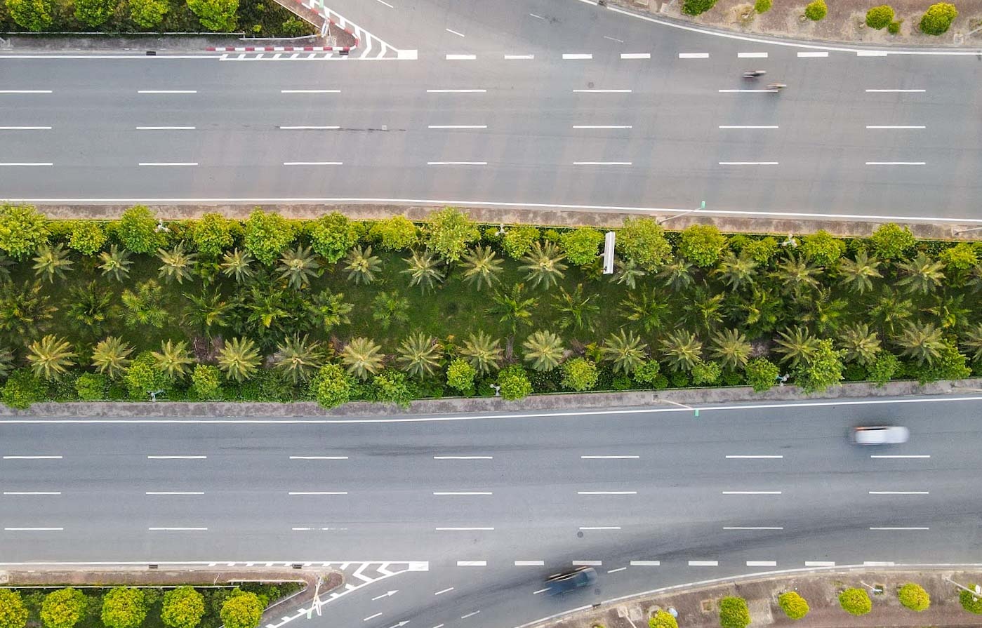 Nang khong gia cay cha la va bang la nho anh 10