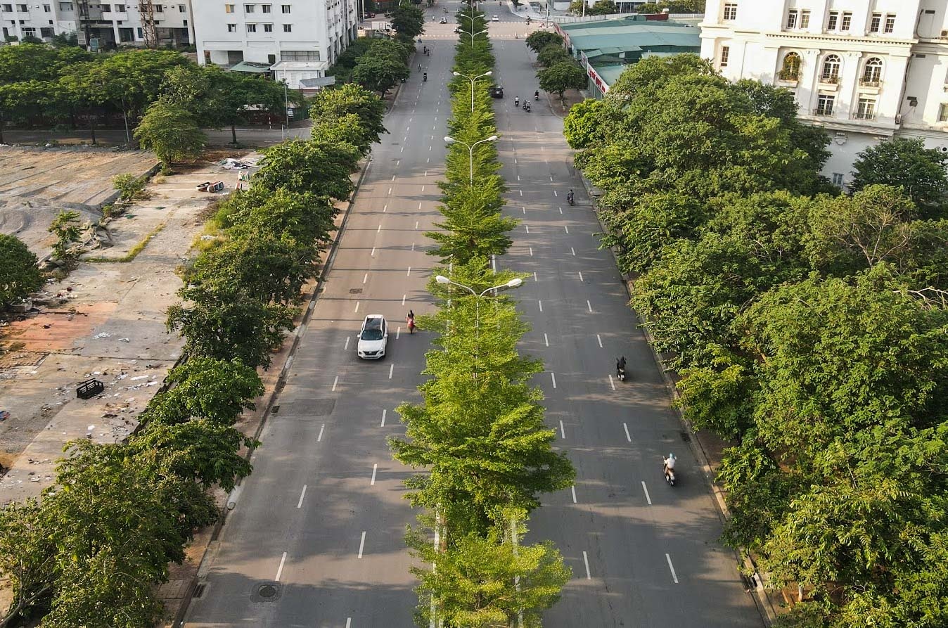 Nang khong gia cay cha la va bang la nho anh 3