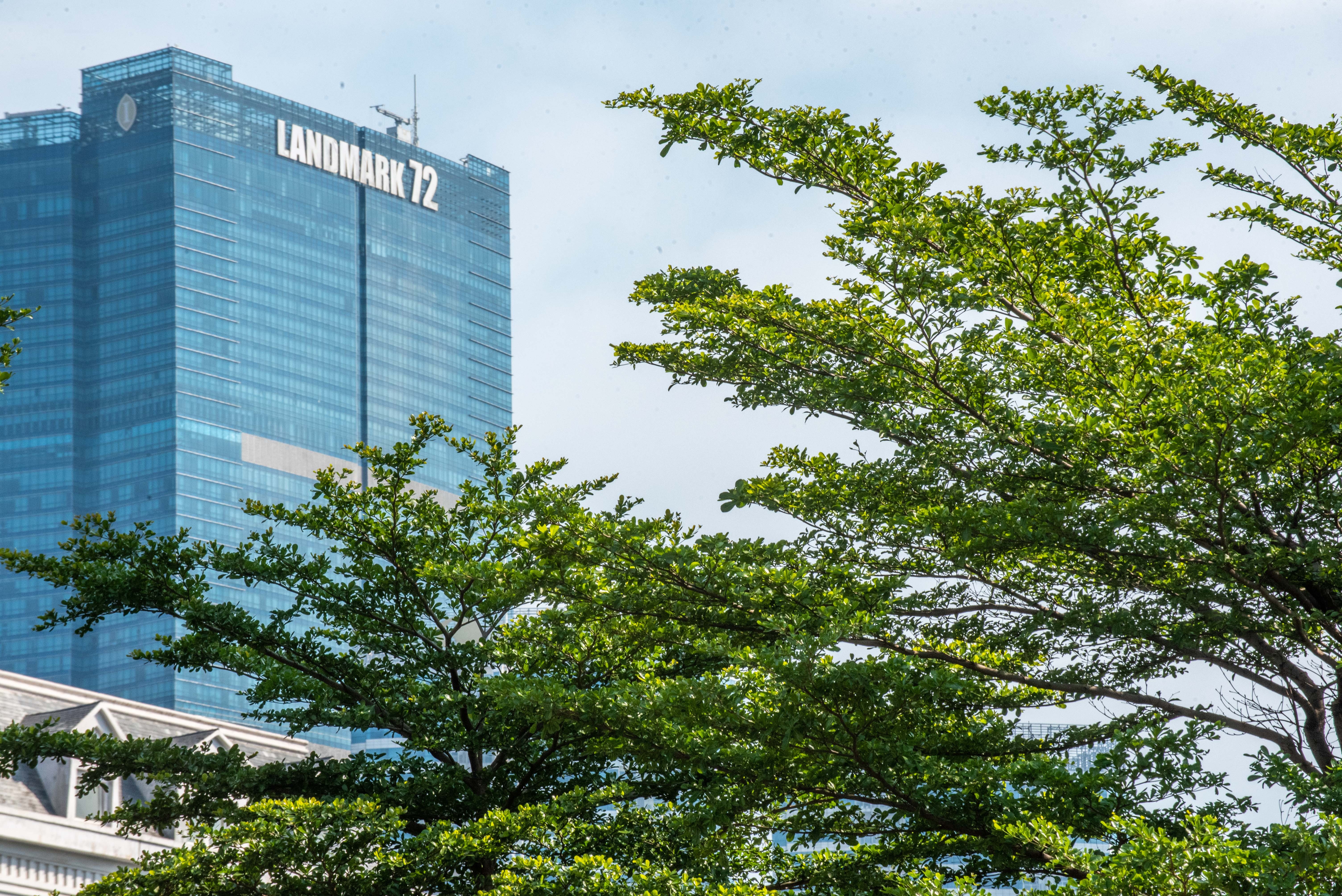 Nang khong gia cay cha la va bang la nho anh 7