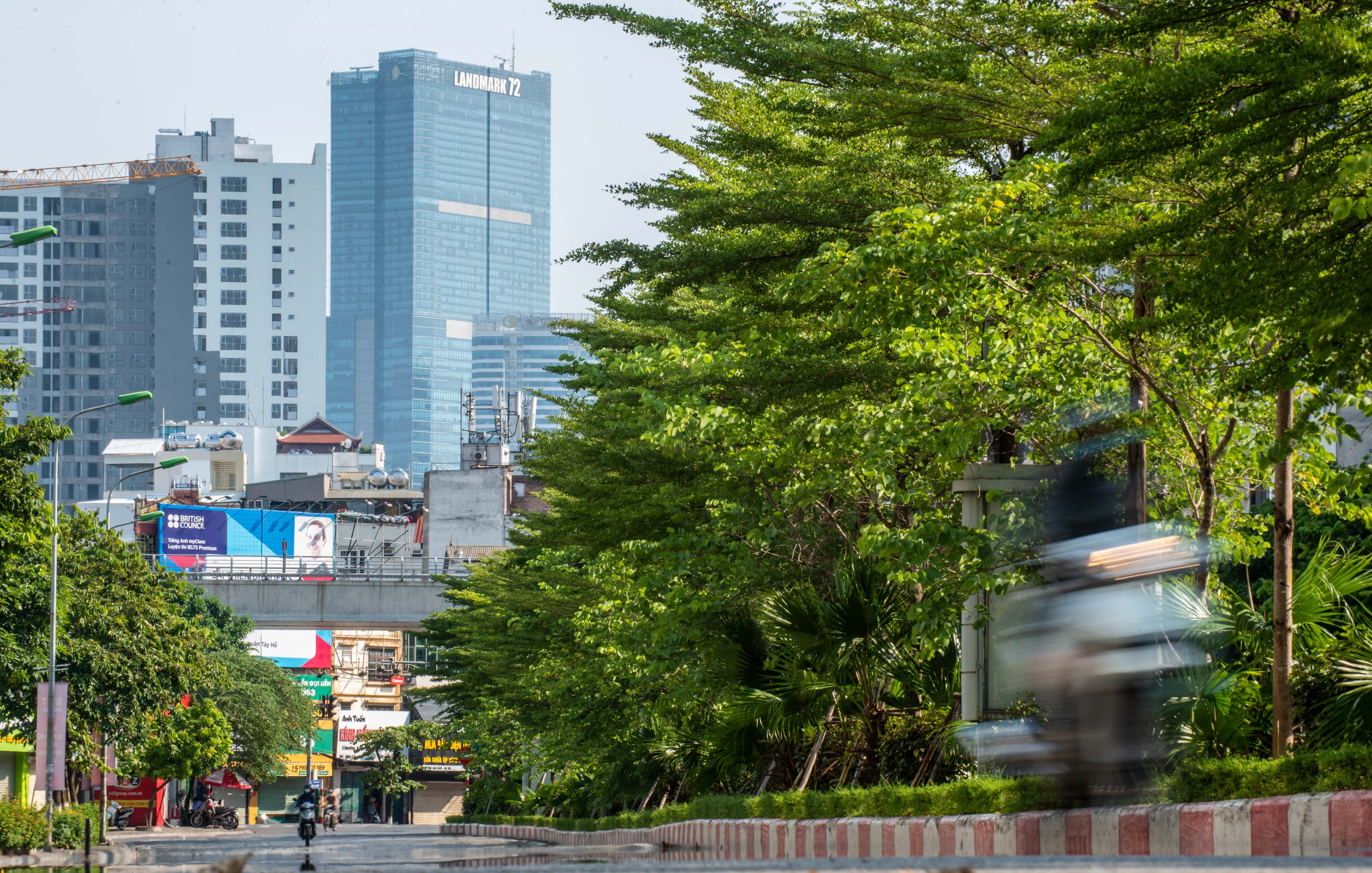 Nang khong gia cay cha la va bang la nho anh 4