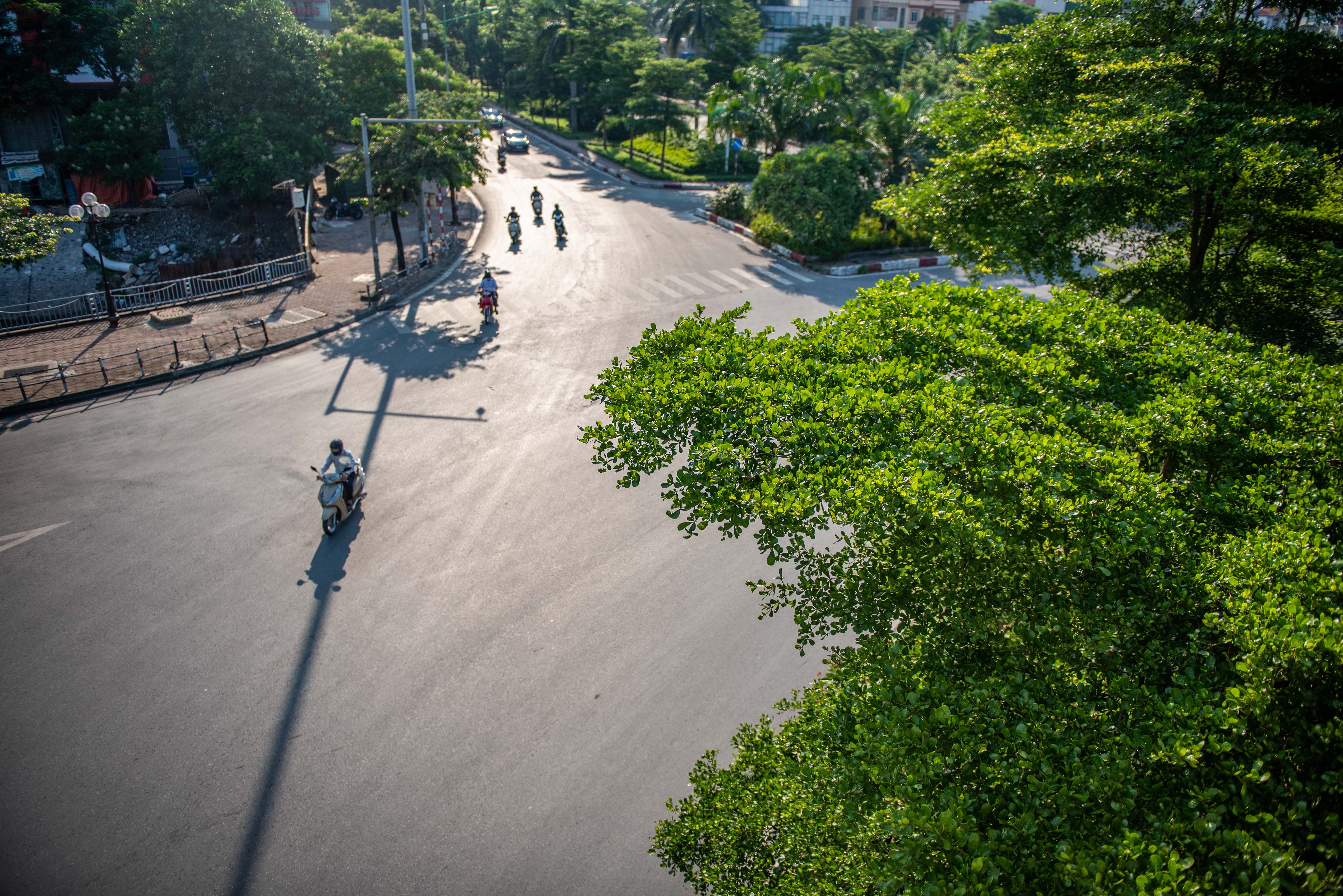 Nang khong gia cay cha la va bang la nho anh 5