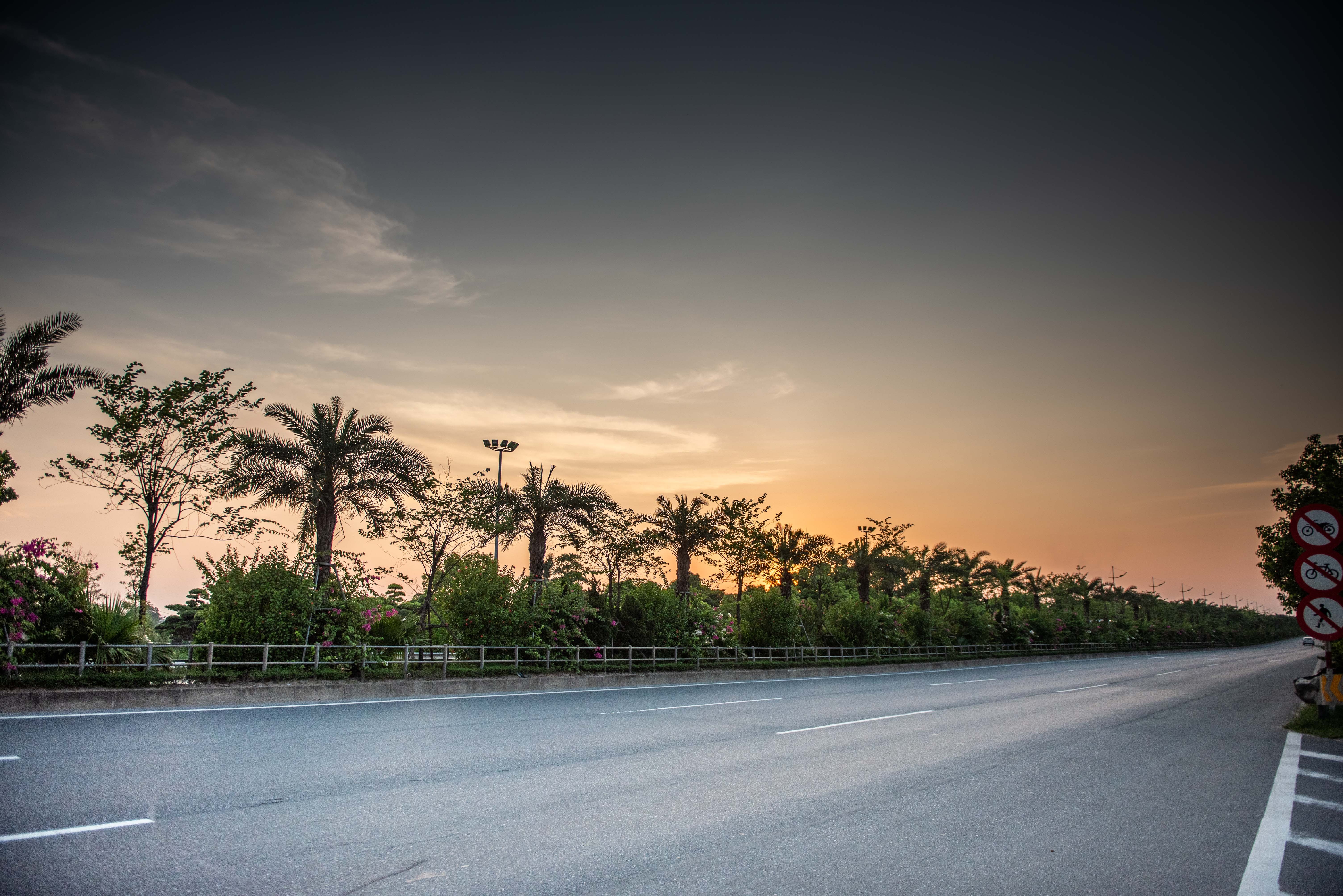 Nang khong gia cay cha la va bang la nho anh 8