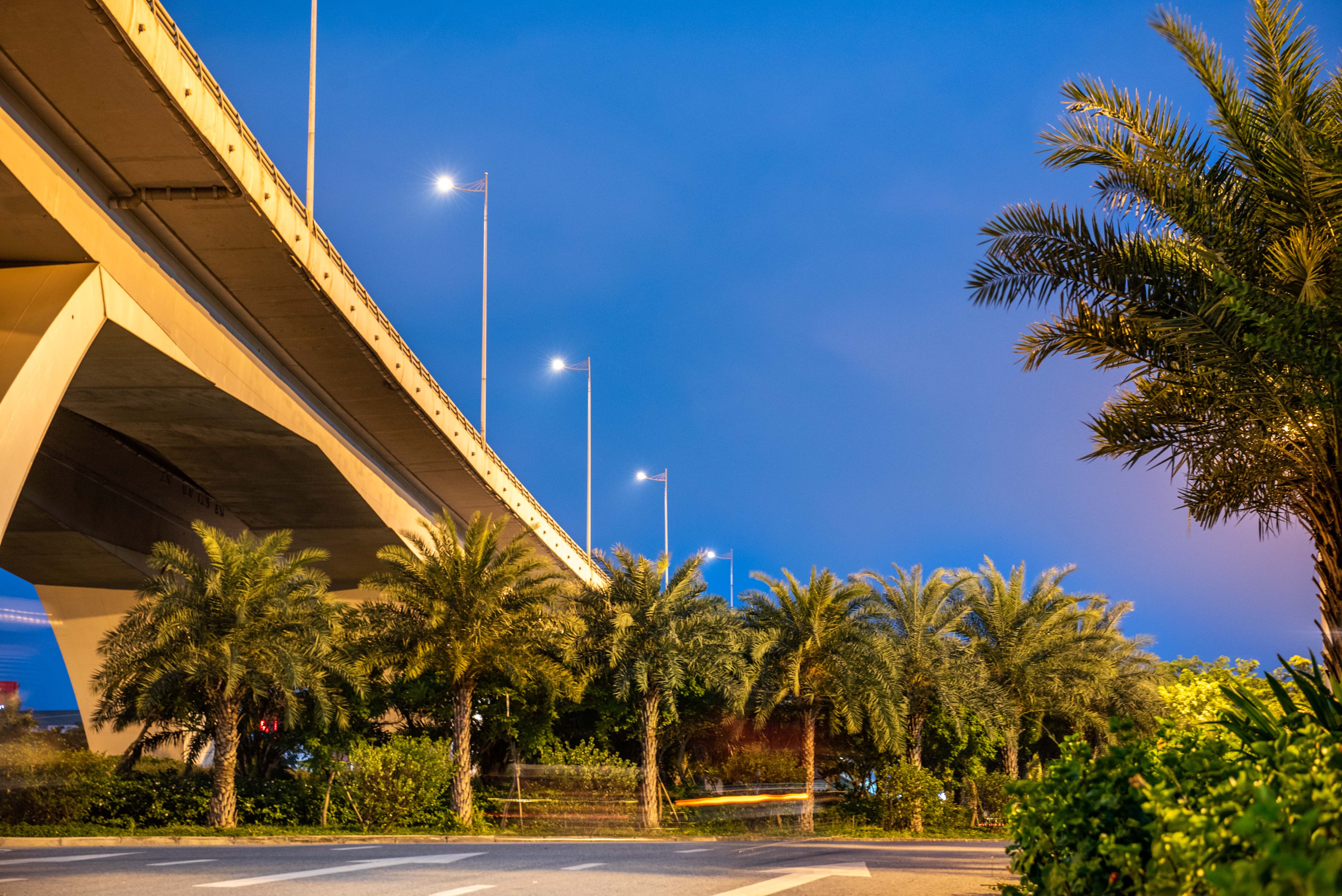 Nang khong gia cay cha la va bang la nho anh 14