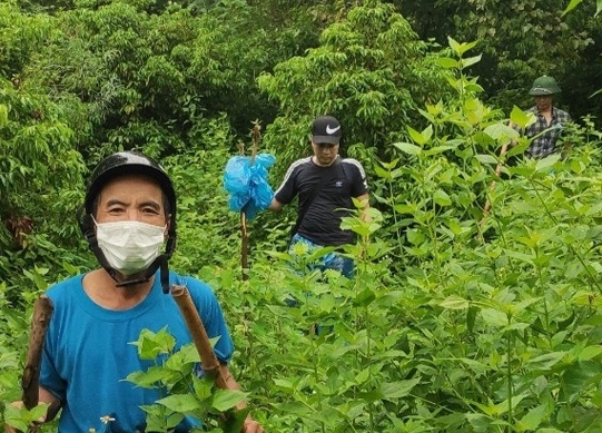 2 vo chong bi truy sat anh 2