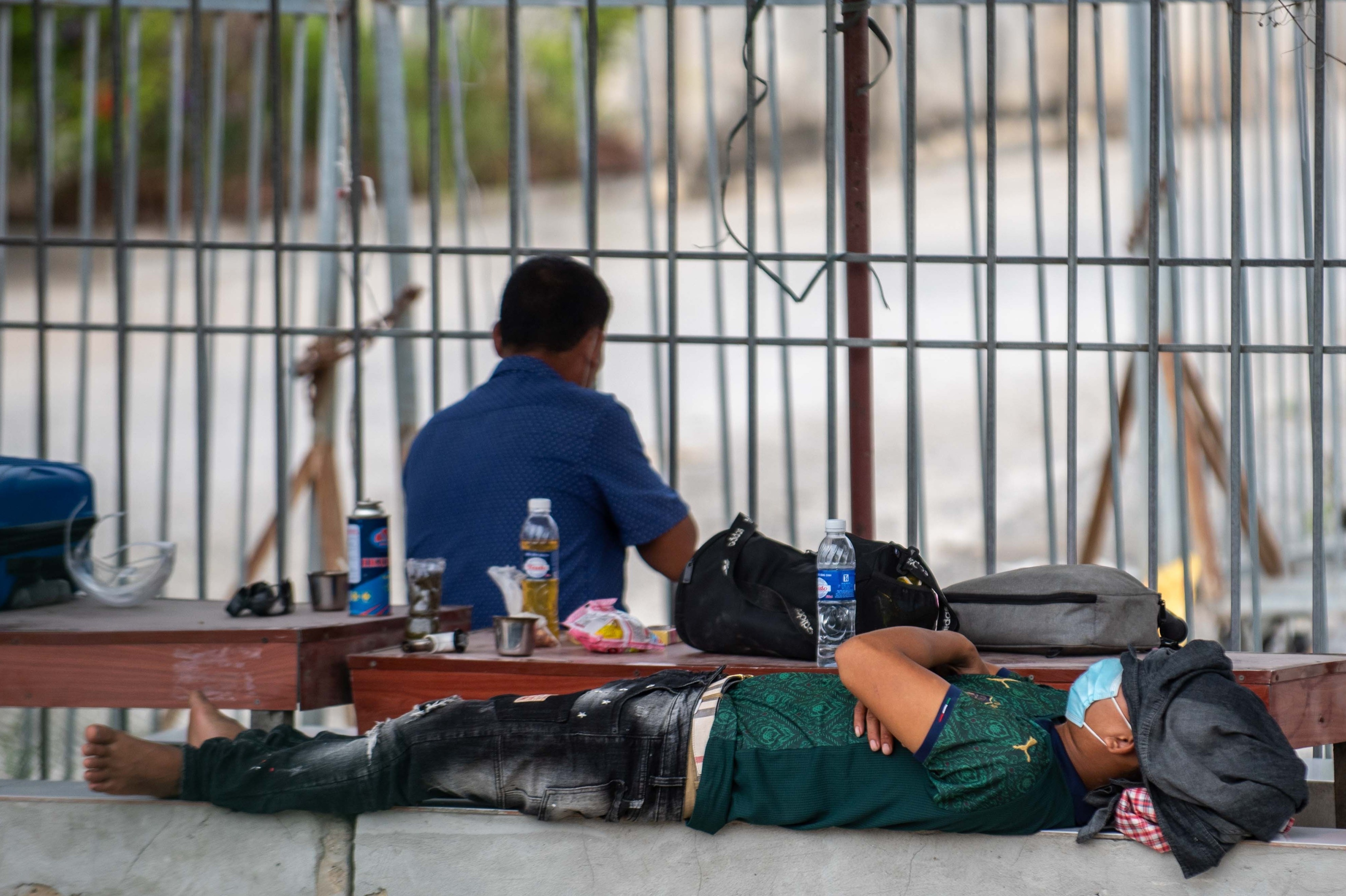 Vuot 1.600 km, 2 bo con ngu ngoai duong cho don vao Ha Noi hinh anh