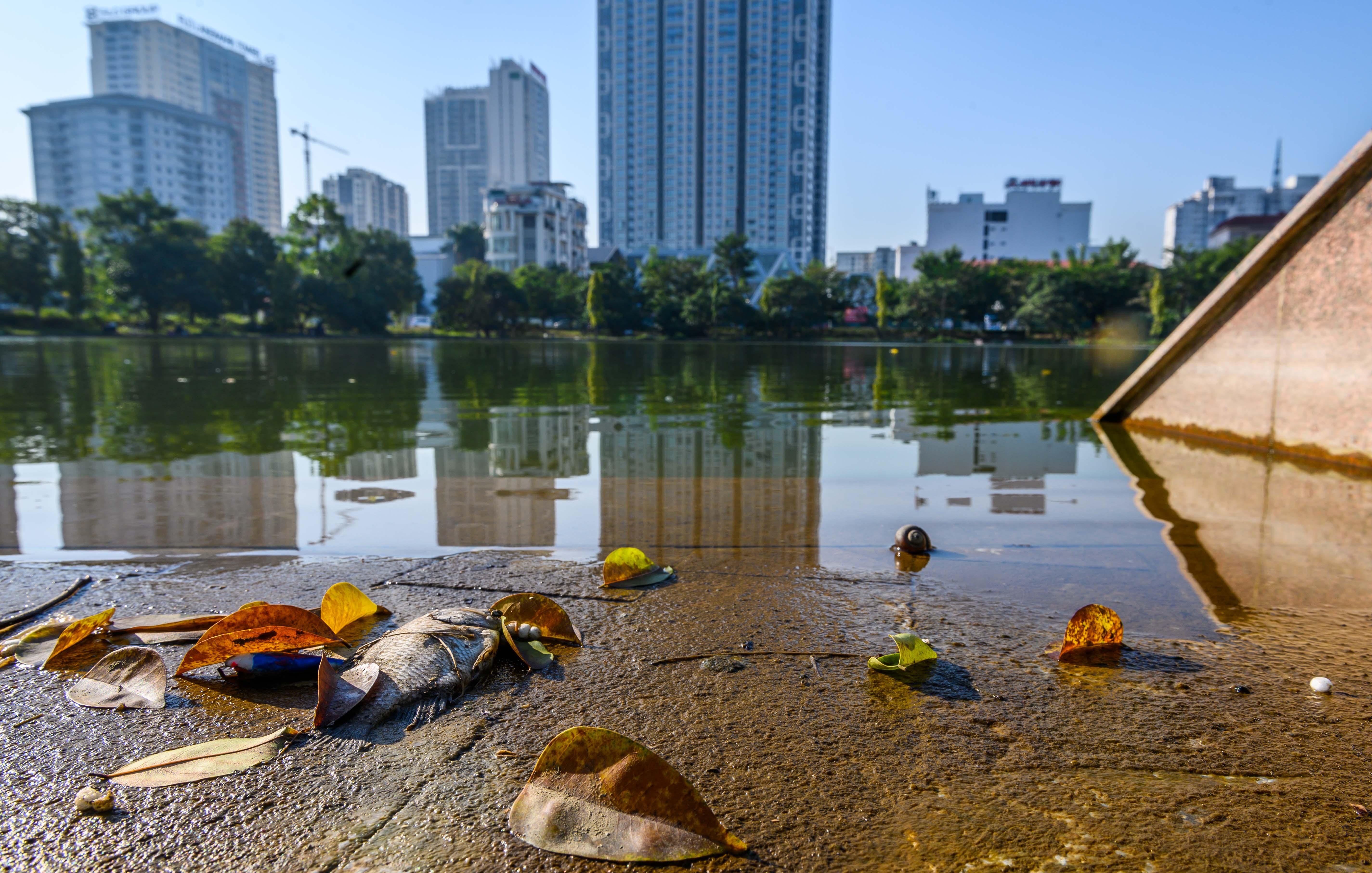 Cong vien nghin ty xuong cap anh 7