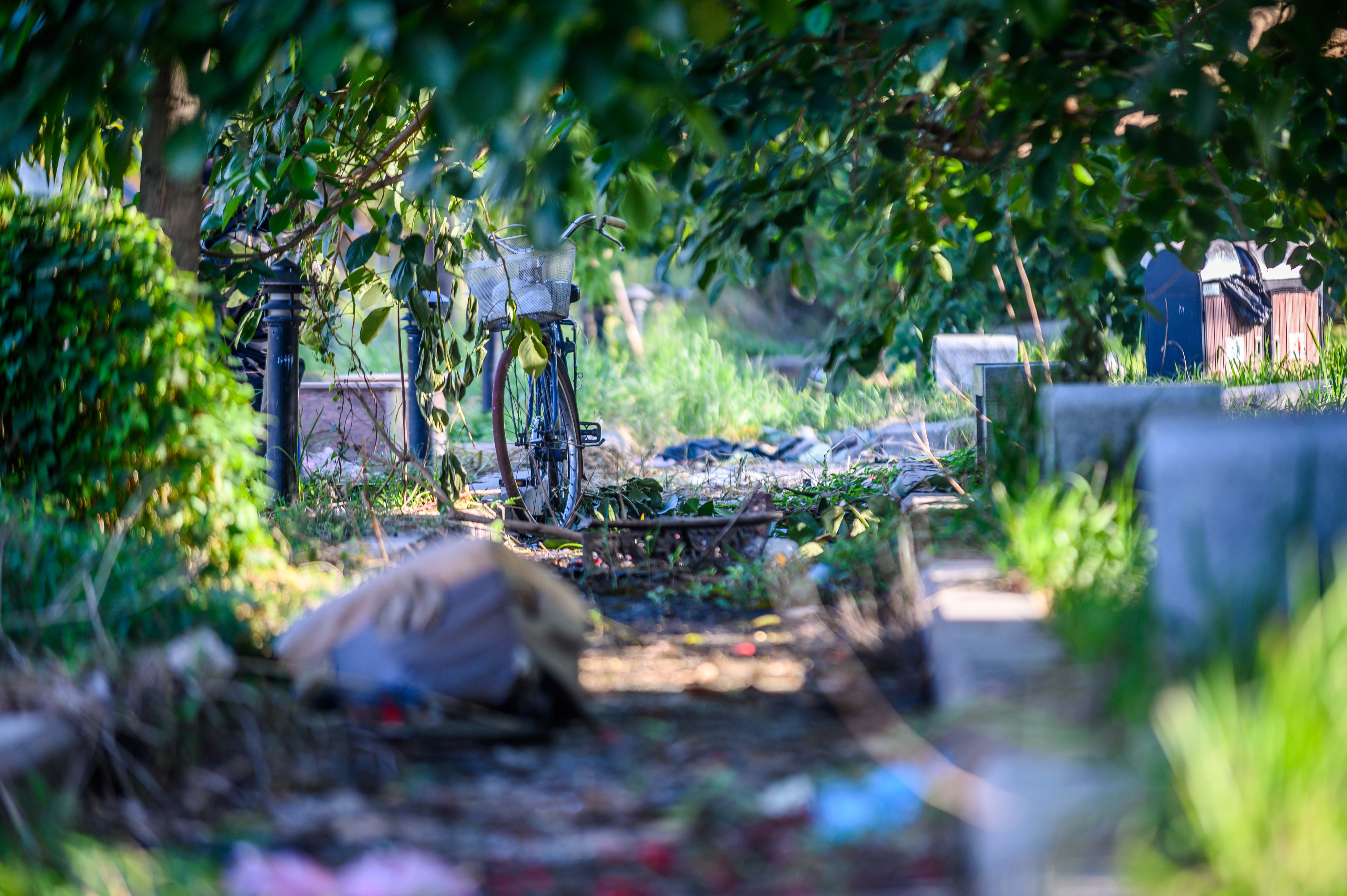 Cong vien nghin ty xuong cap anh 6