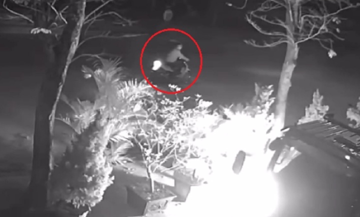 Nem bom xang vao oto luc rang sang hinh anh