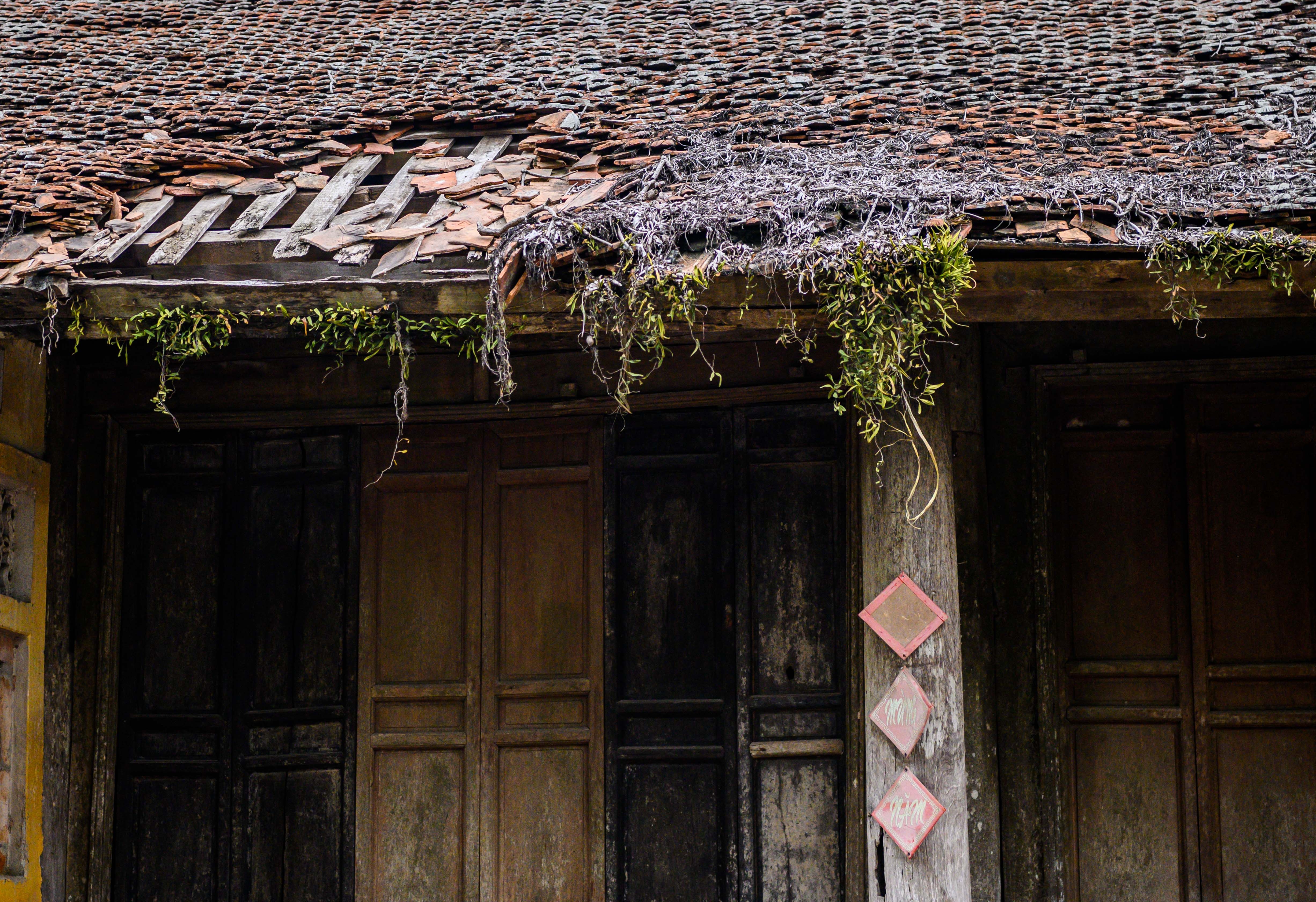 Chua 700 tuoi xuong cap tram trong anh 5