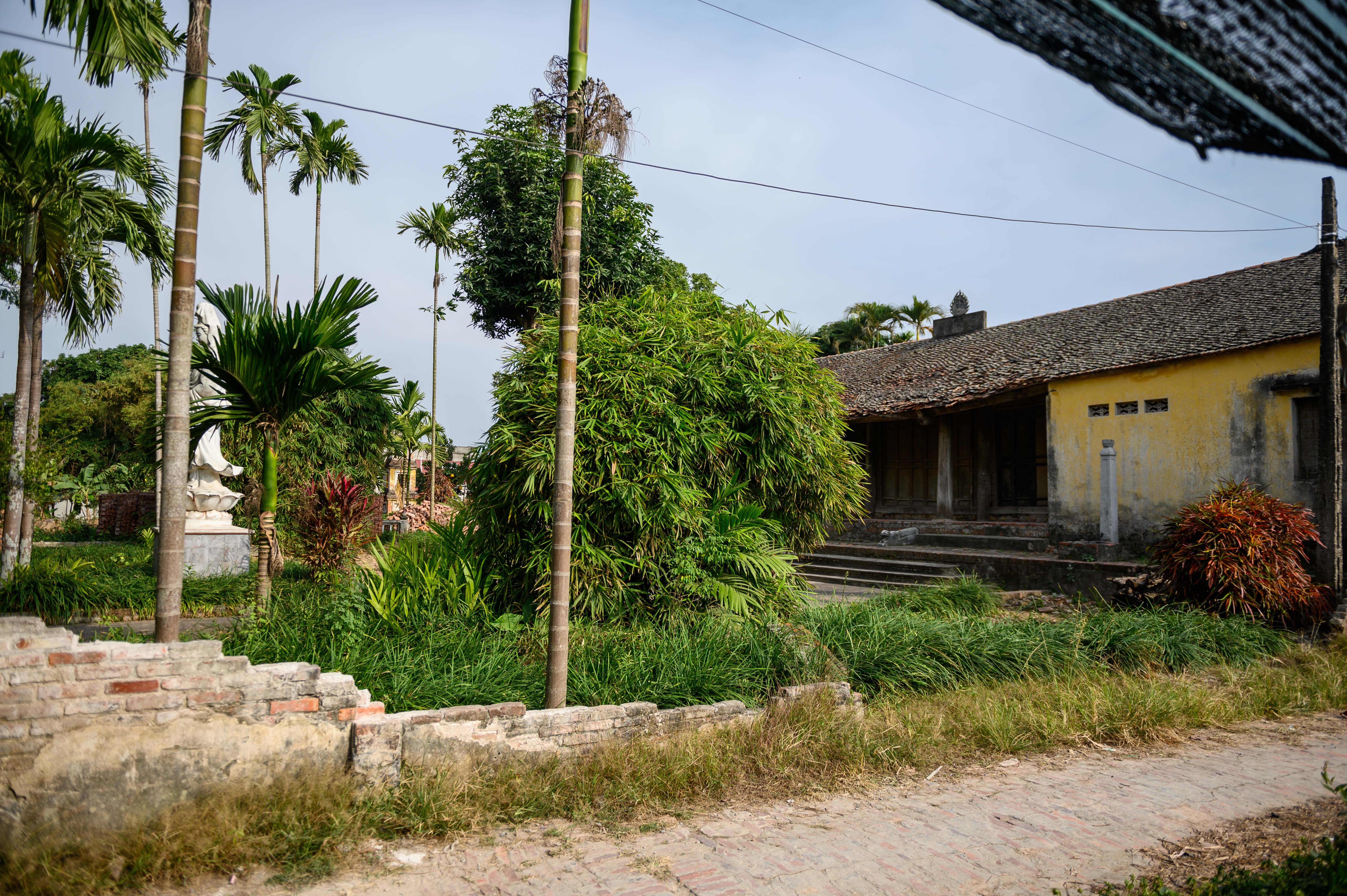 Chua 700 tuoi xuong cap tram trong anh 2