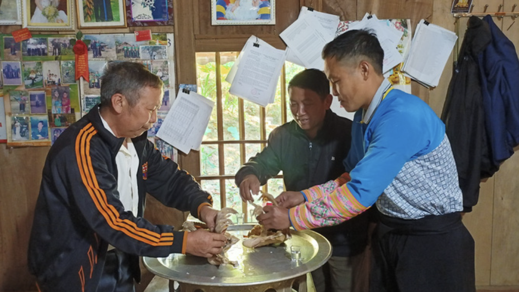 Tet nguoi mong anh 7