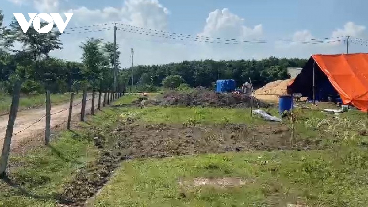 nguoi dan ong tu vong anh 1