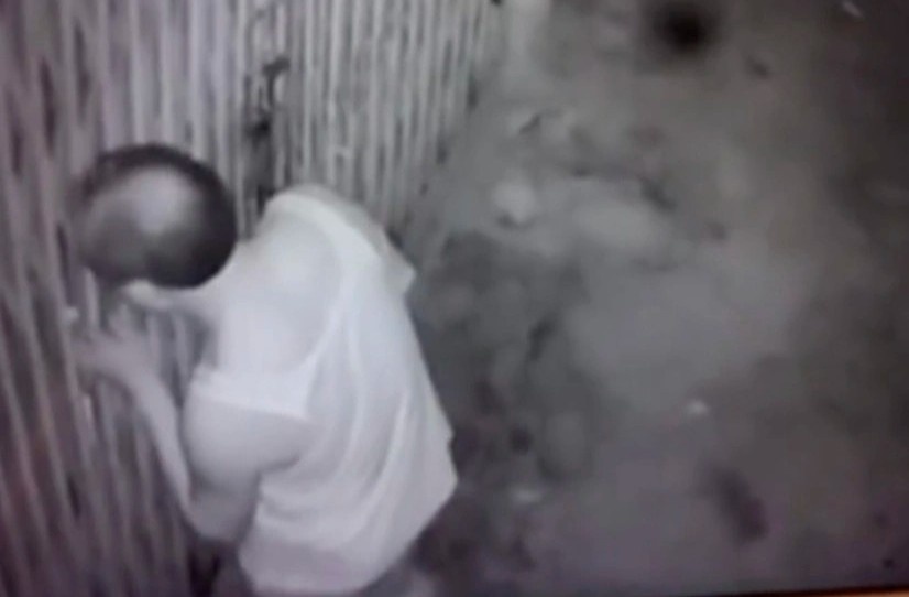 Co gai bi hang xom viet thu xin 'ngu cung' hinh anh