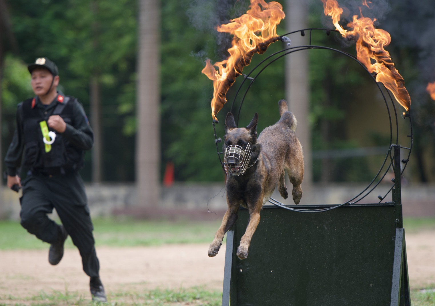Canh khuyen phi qua vong lua, danh hoi ma tuy trong vali hinh anh