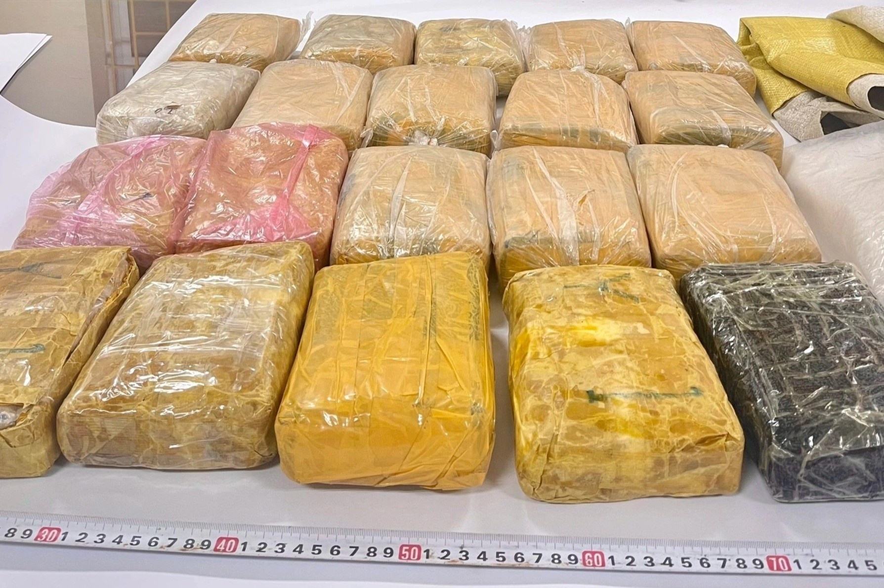 Canh sat kiem dem 120.000 vien ma tuy do nguoi phu nu van chuyen hinh anh